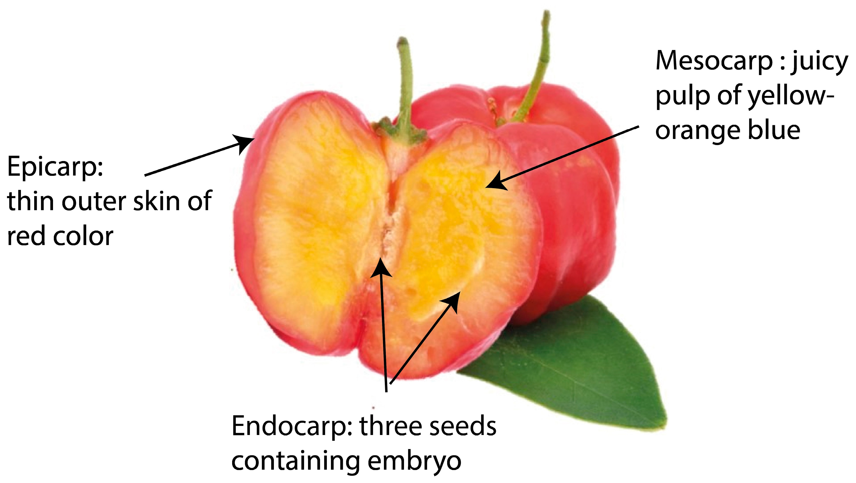 Recycling 08 00096 g003