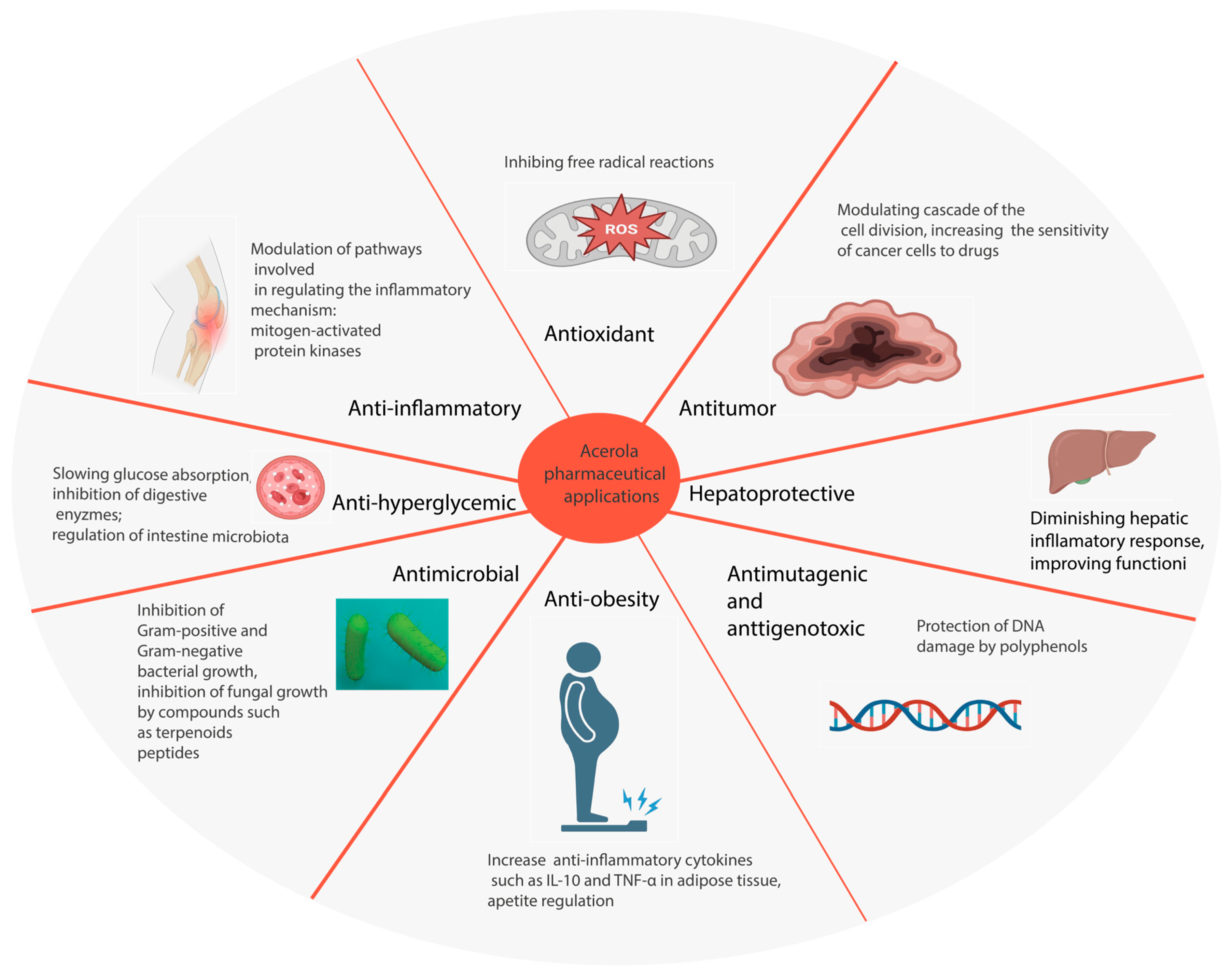 Recycling 08 00096 g006