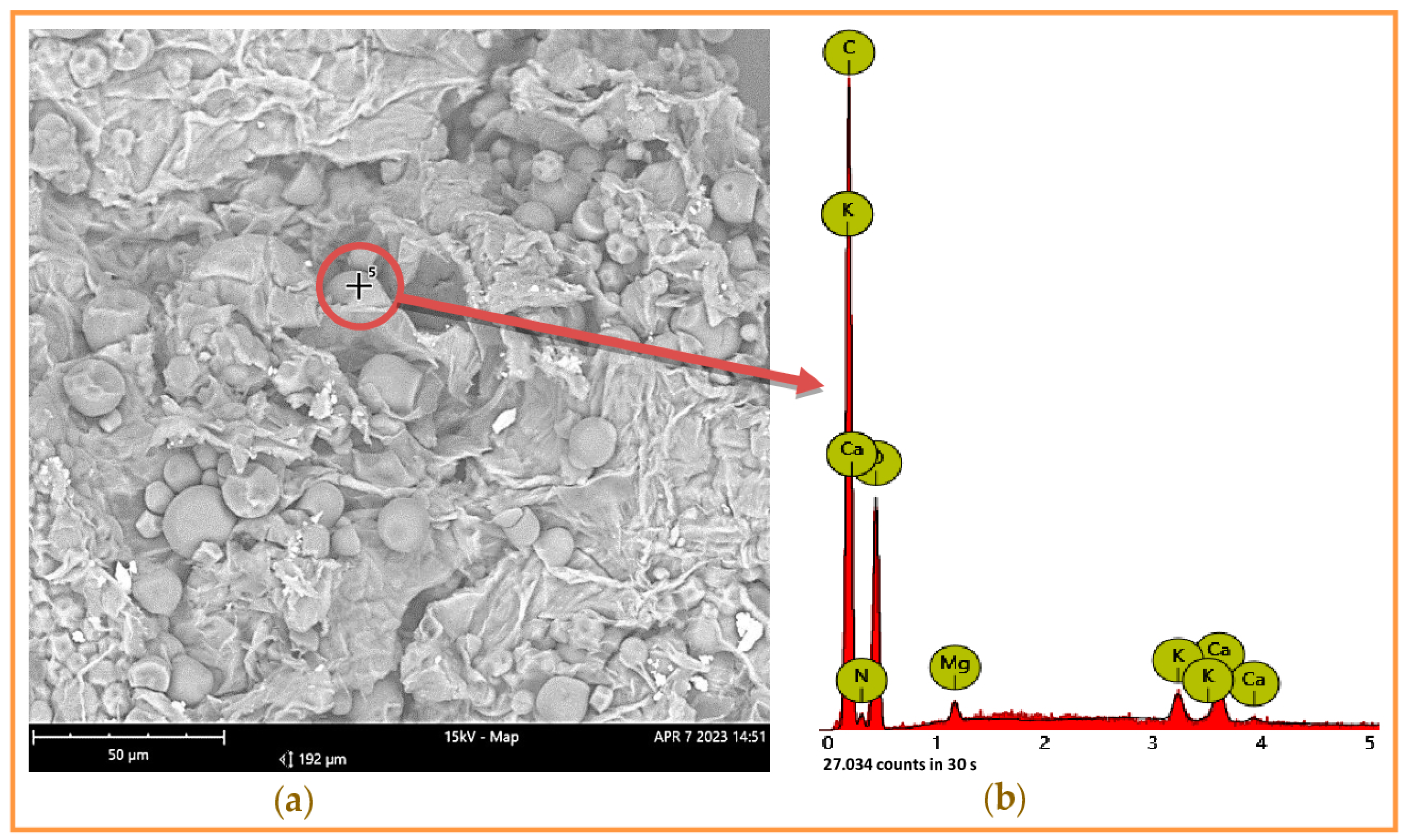 Recycling 09 00012 g001
