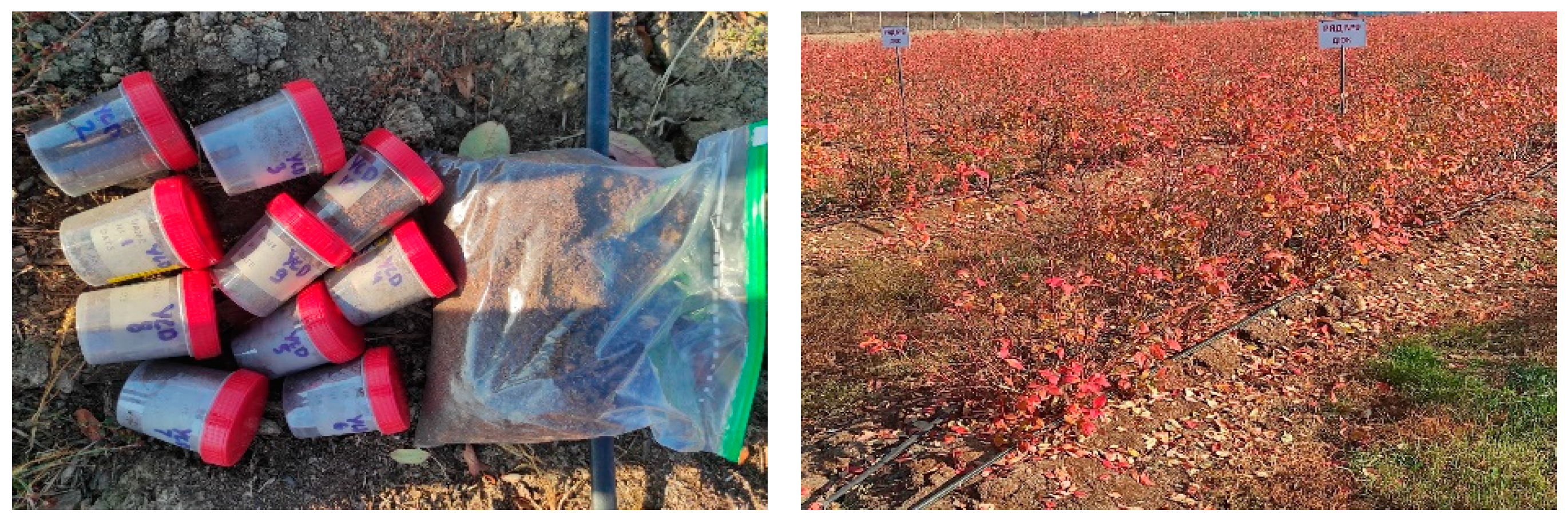 Recycling 09 00044 g003