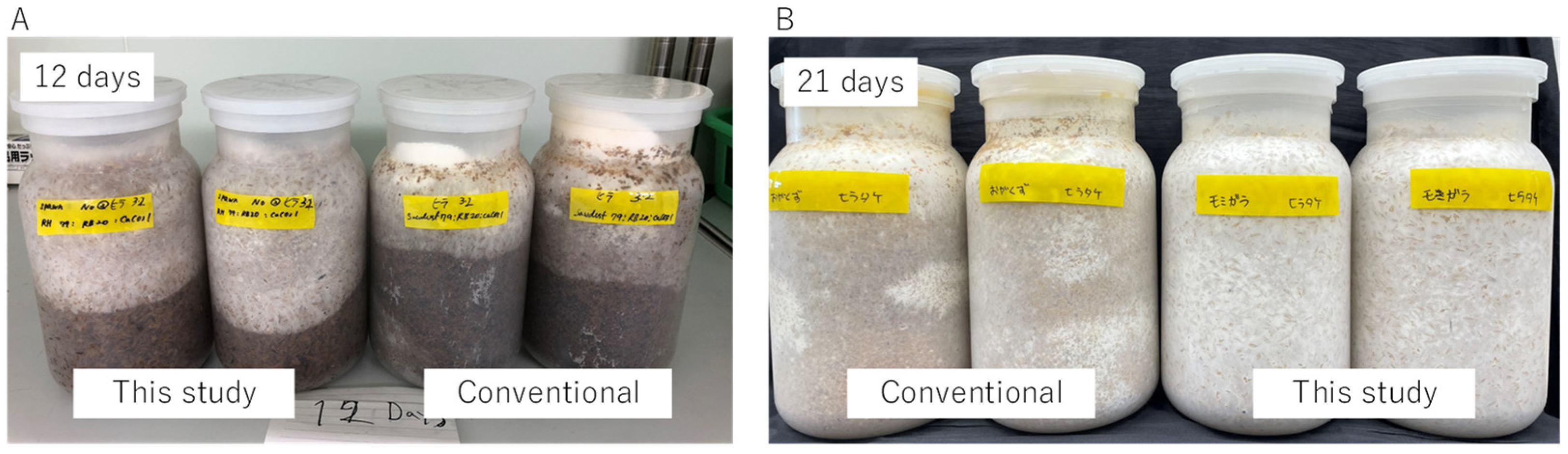 Recycling 09 00058 g001