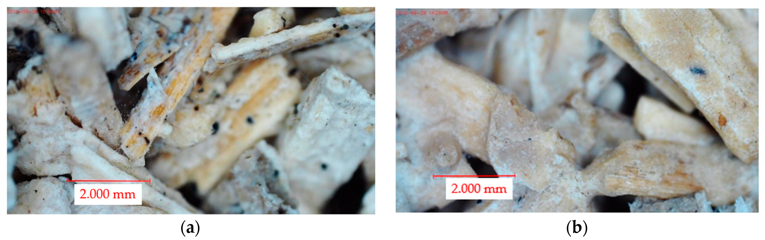 Recycling 09 00063 g002