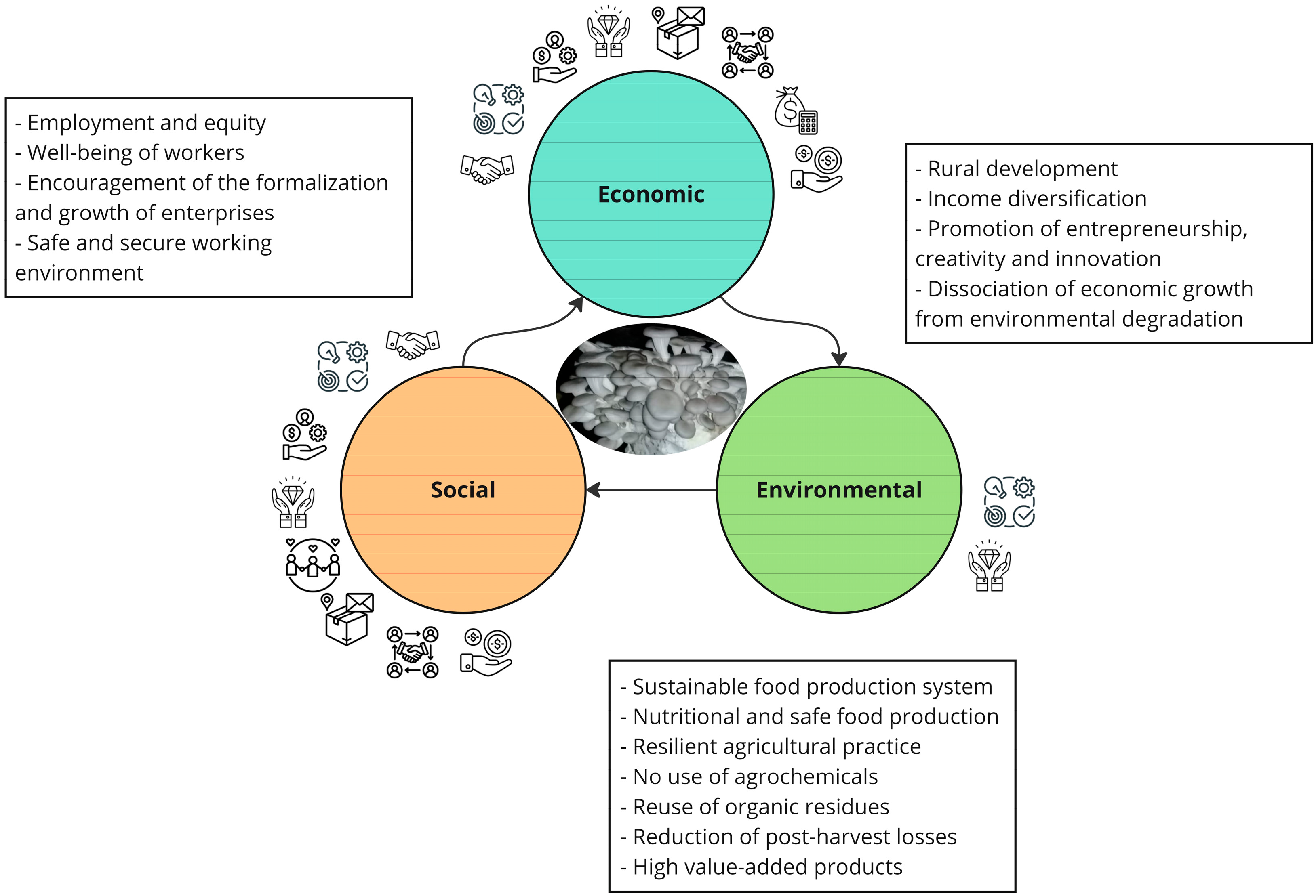 Recycling 09 00068 g003