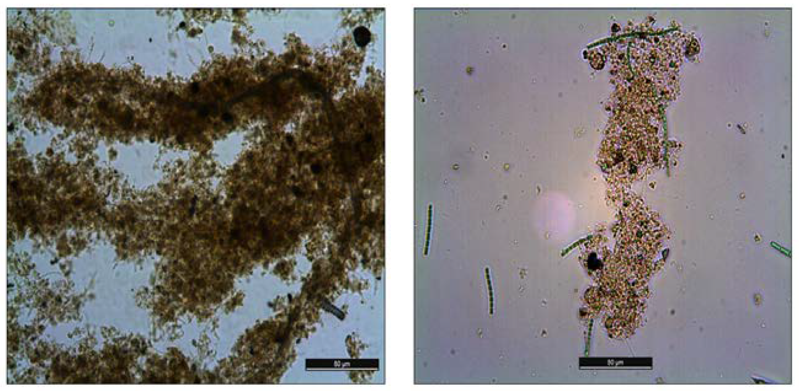 Recycling 09 00097 g006