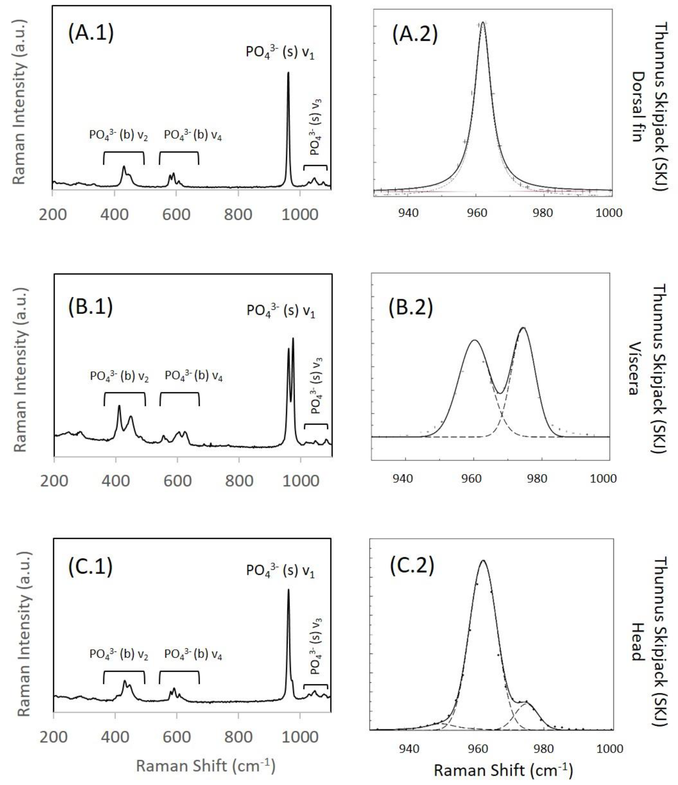 Recycling 09 00109 g002