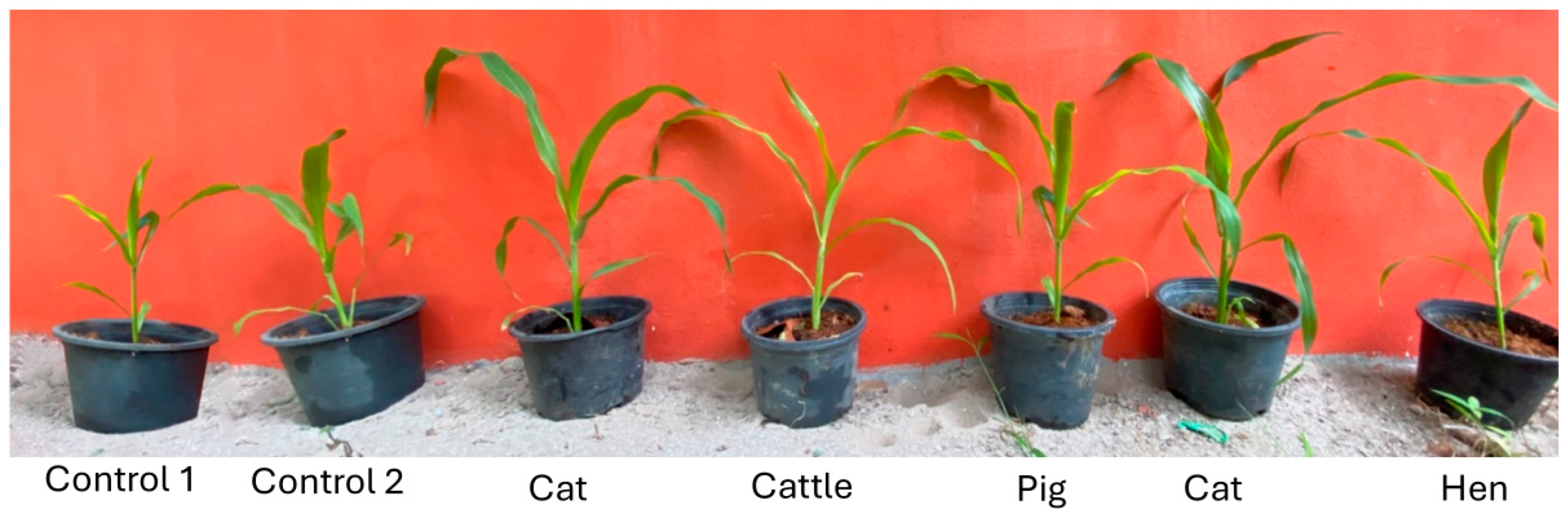 Recycling 09 00123 g003