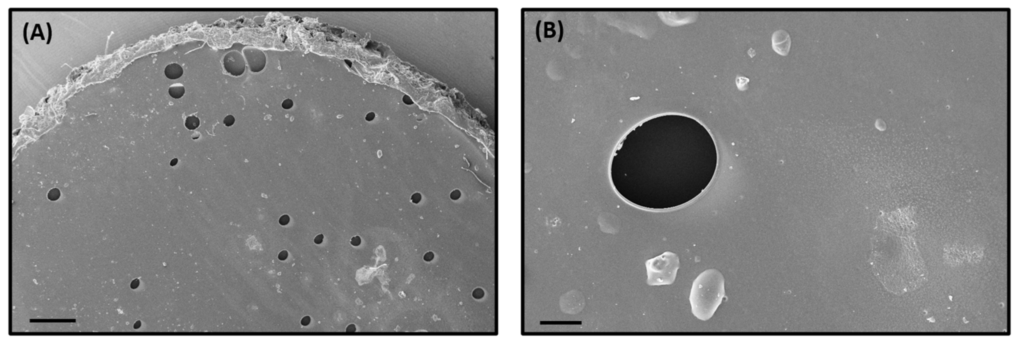 Recycling 09 00127 g006