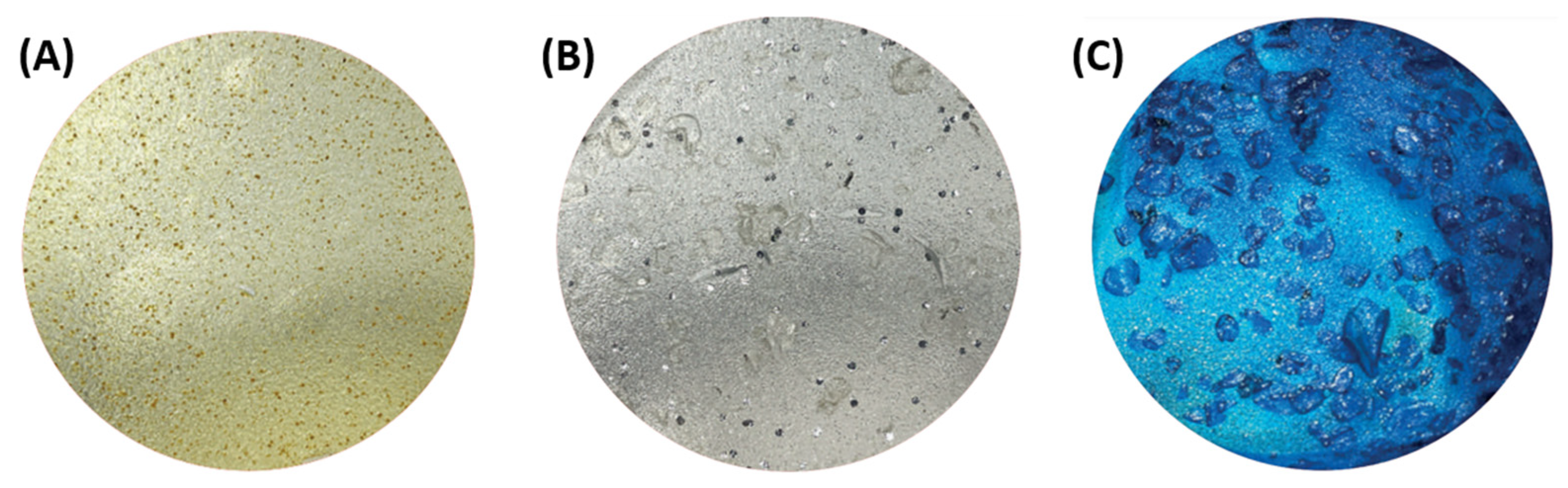 Recycling 09 00127 g017