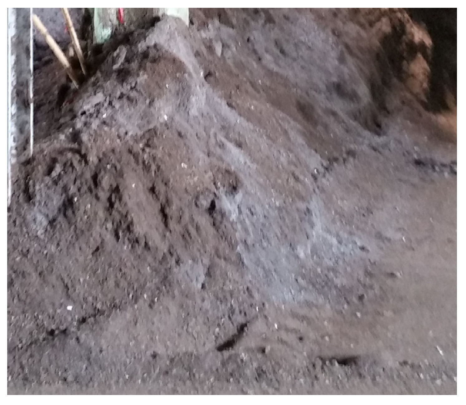 Recycling 10 00062 g009