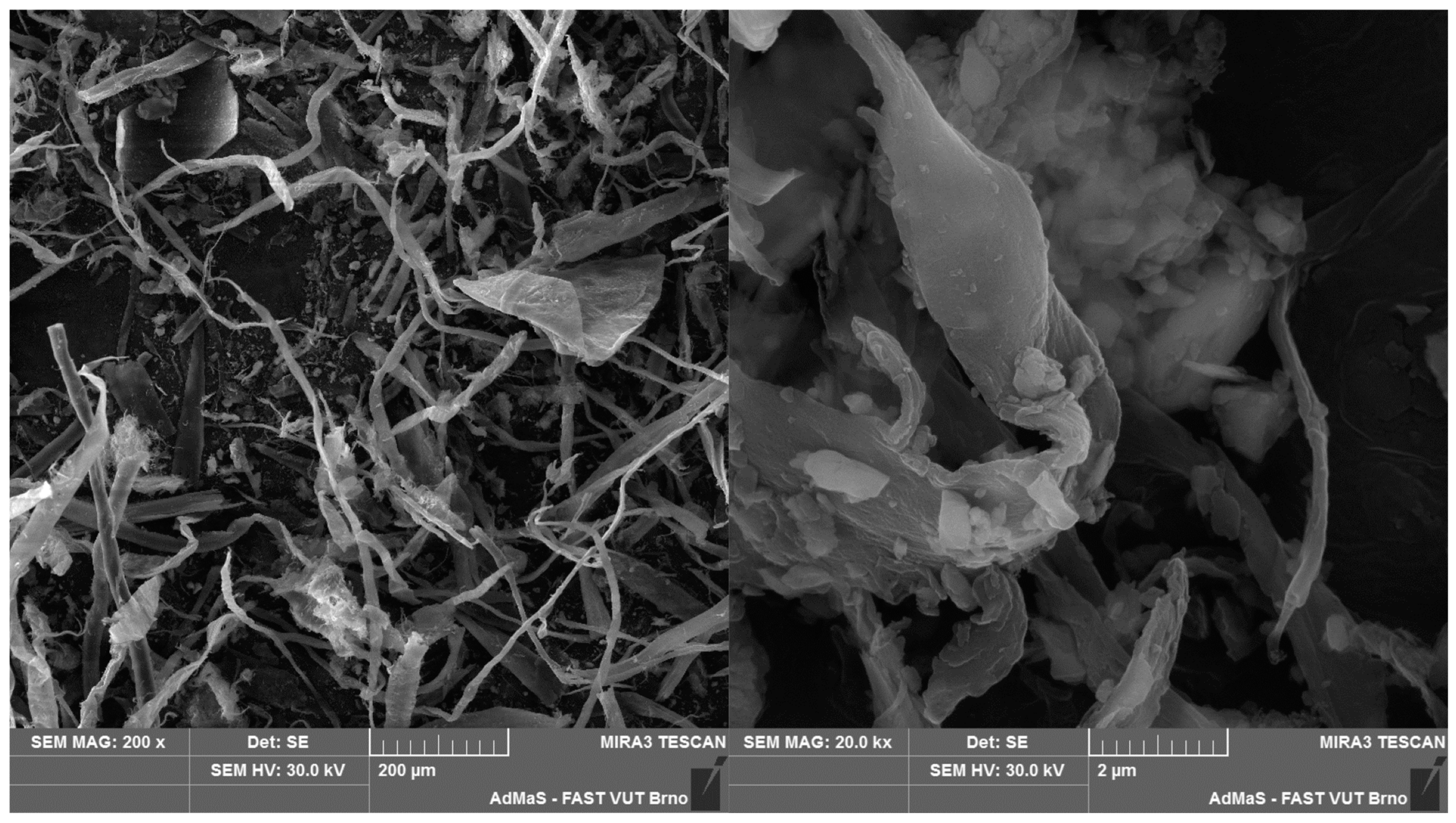 Recycling 10 00079 g005