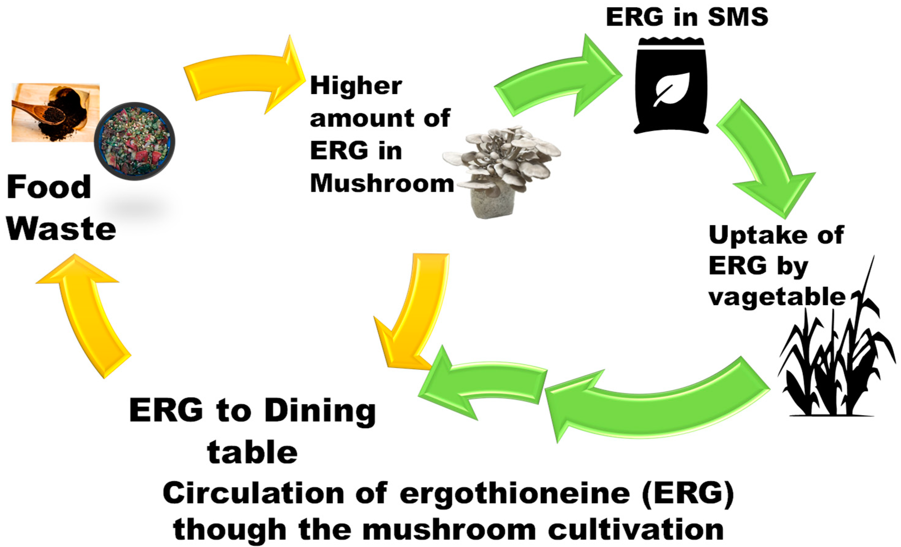 Recycling 10 00091 g005