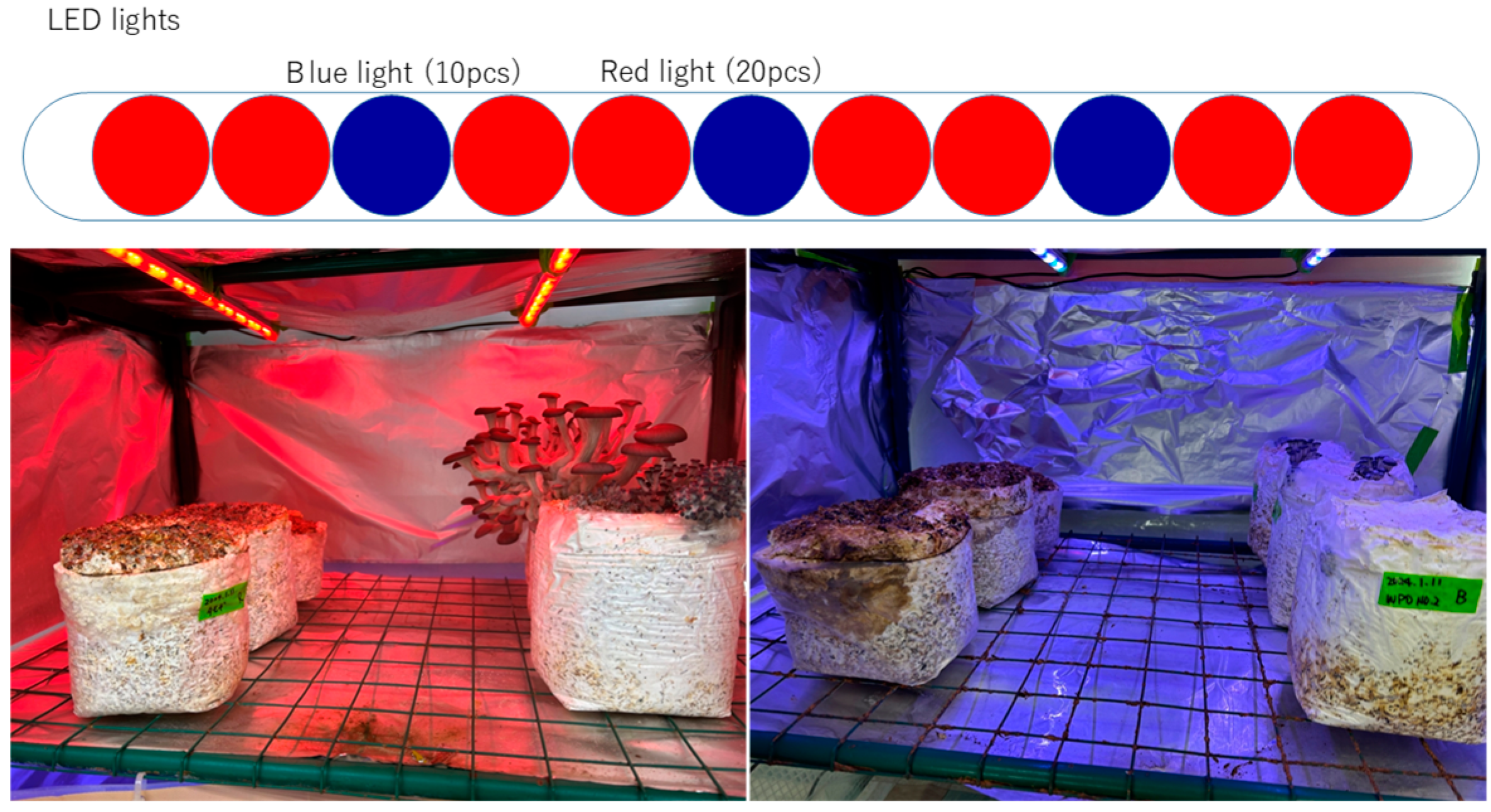 Recycling 10 00091 g006