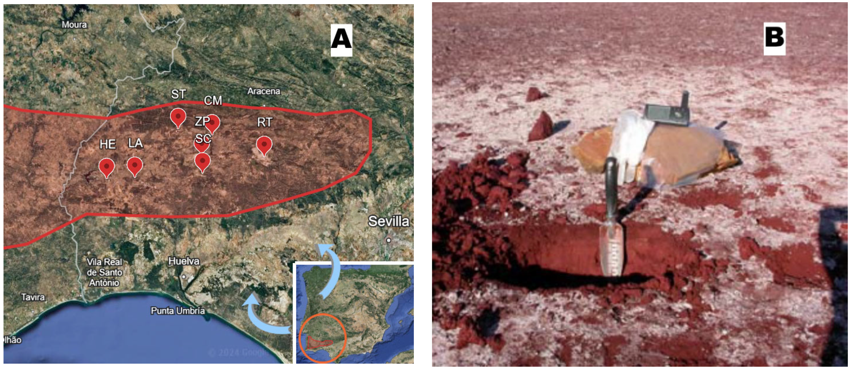 Recycling 10 00112 g001