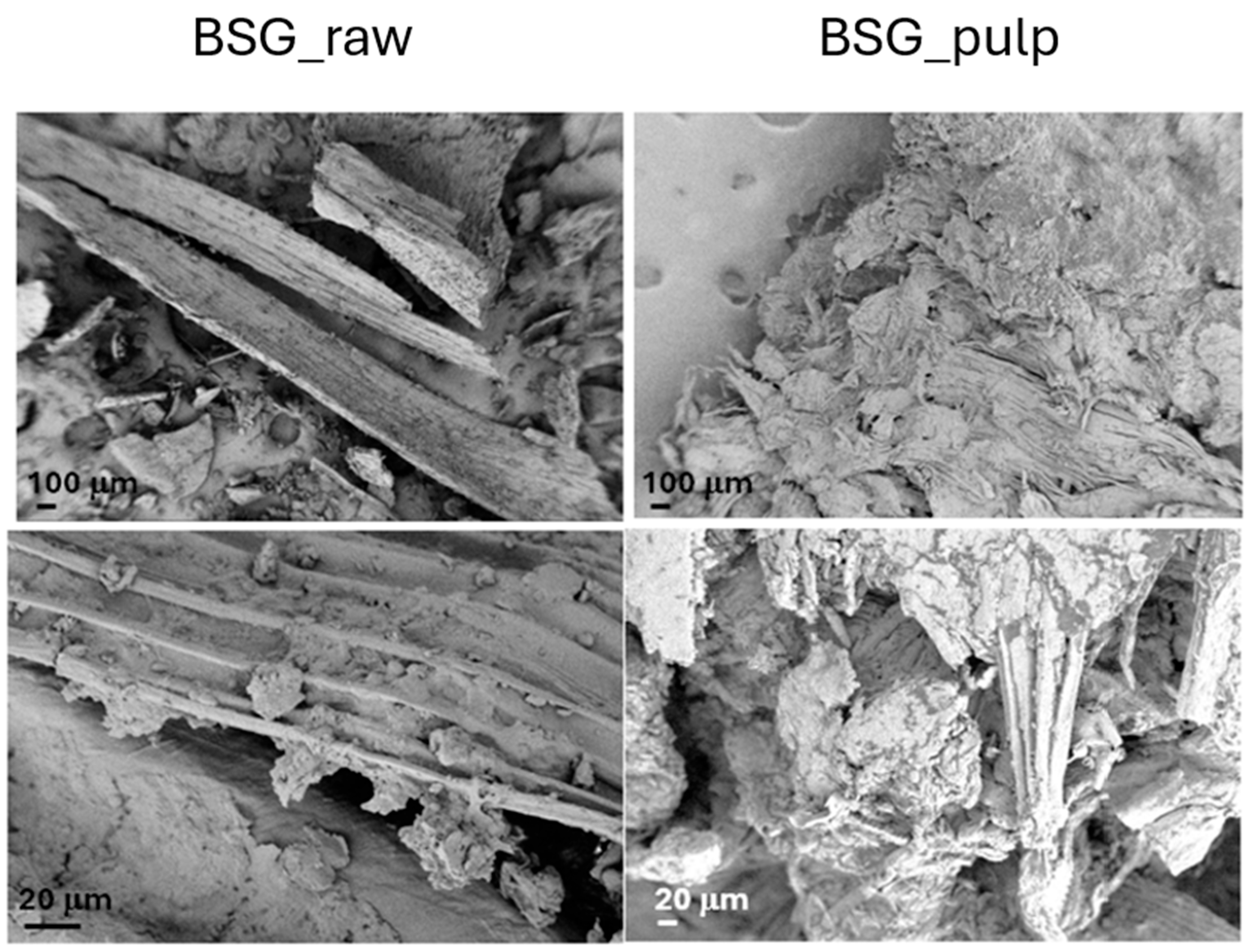 Recycling 10 00124 g003