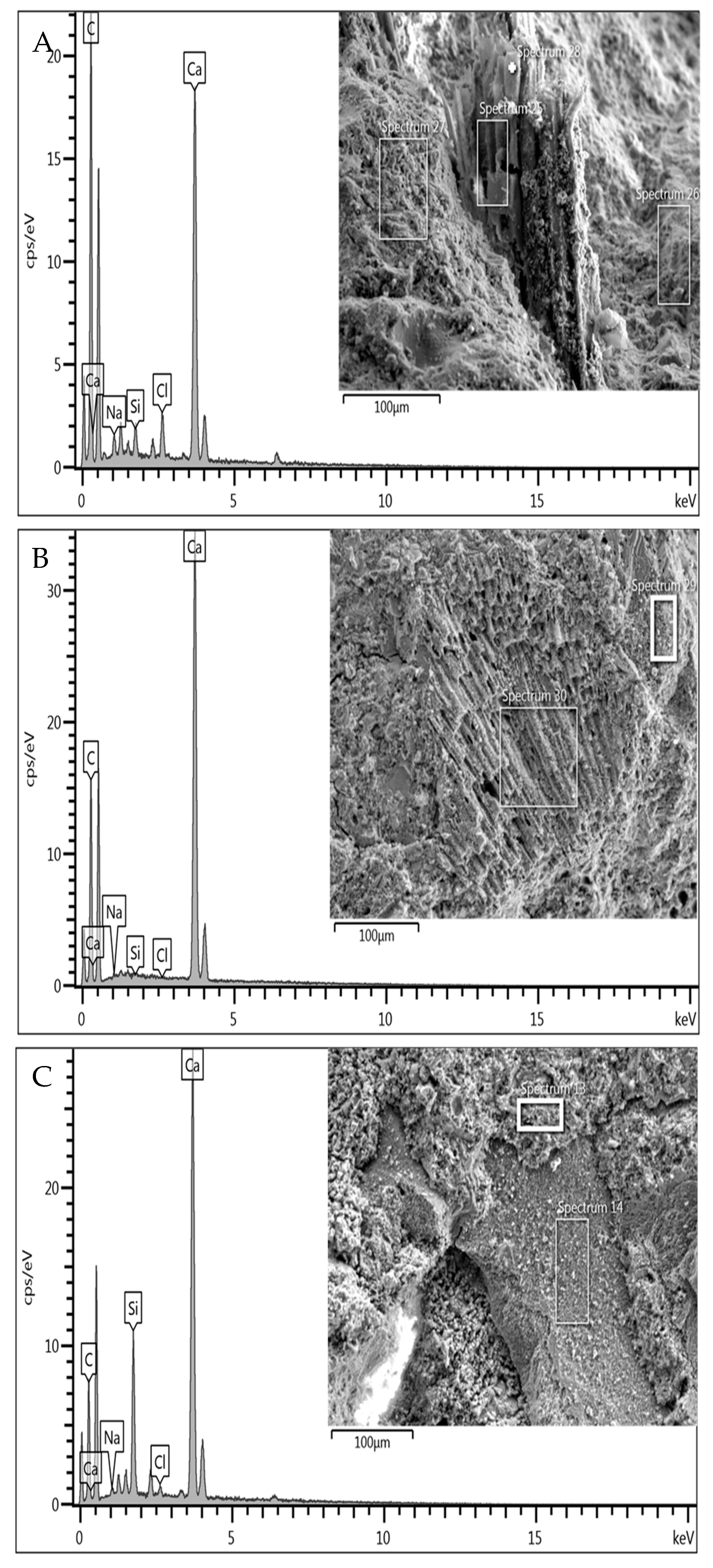 Recycling 10 00169 g007