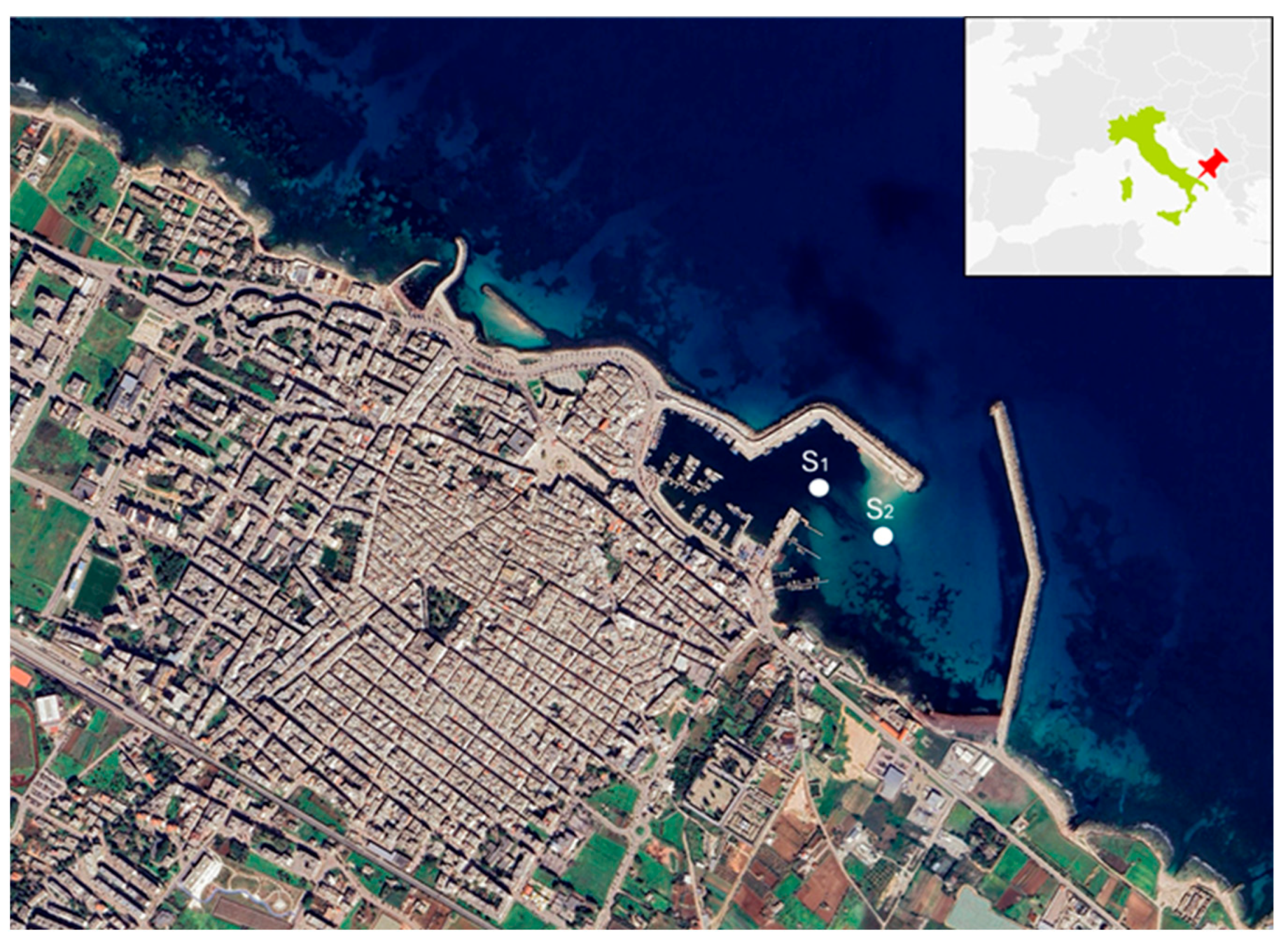 Recycling 10 00169 g014