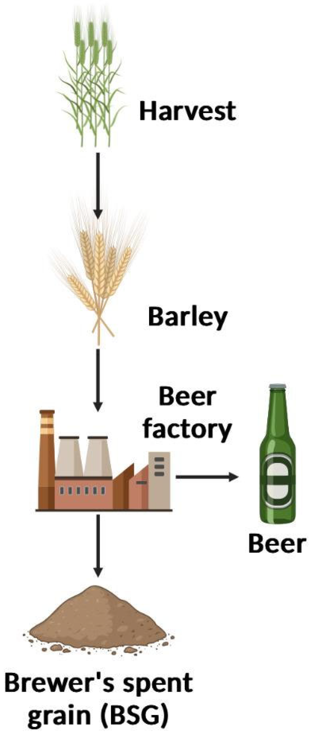 Recycling 10 00170 g001