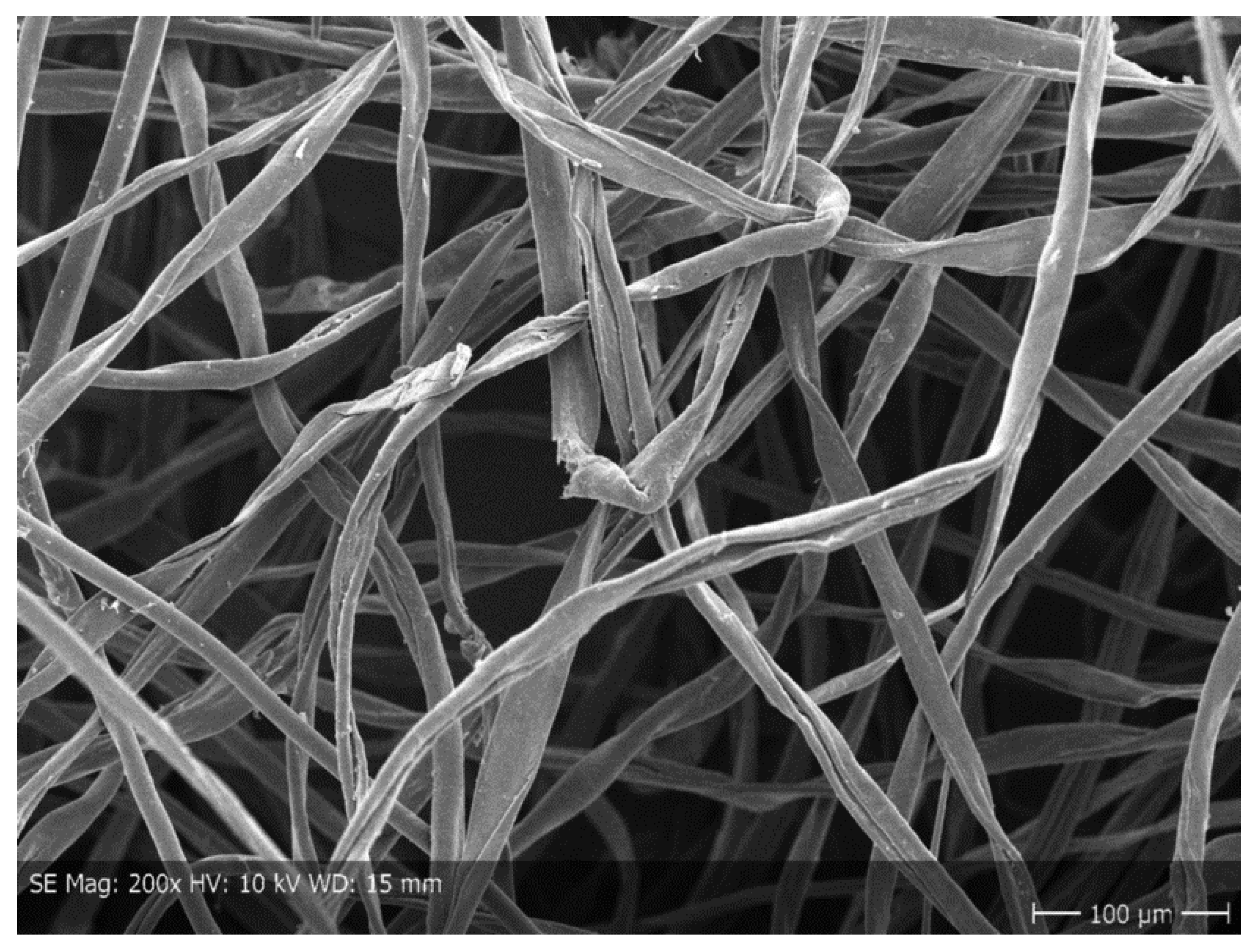 Recycling 10 00177 g007