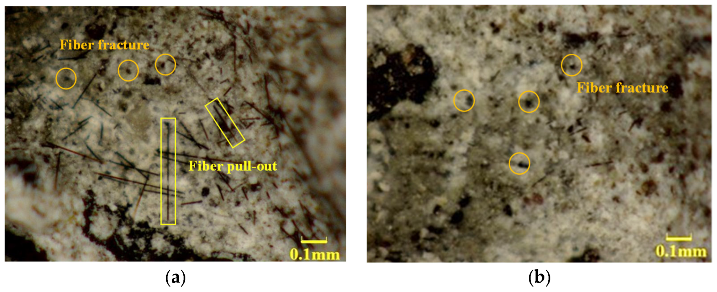 Recycling 10 00206 g003 Recycling 10 00206 g003