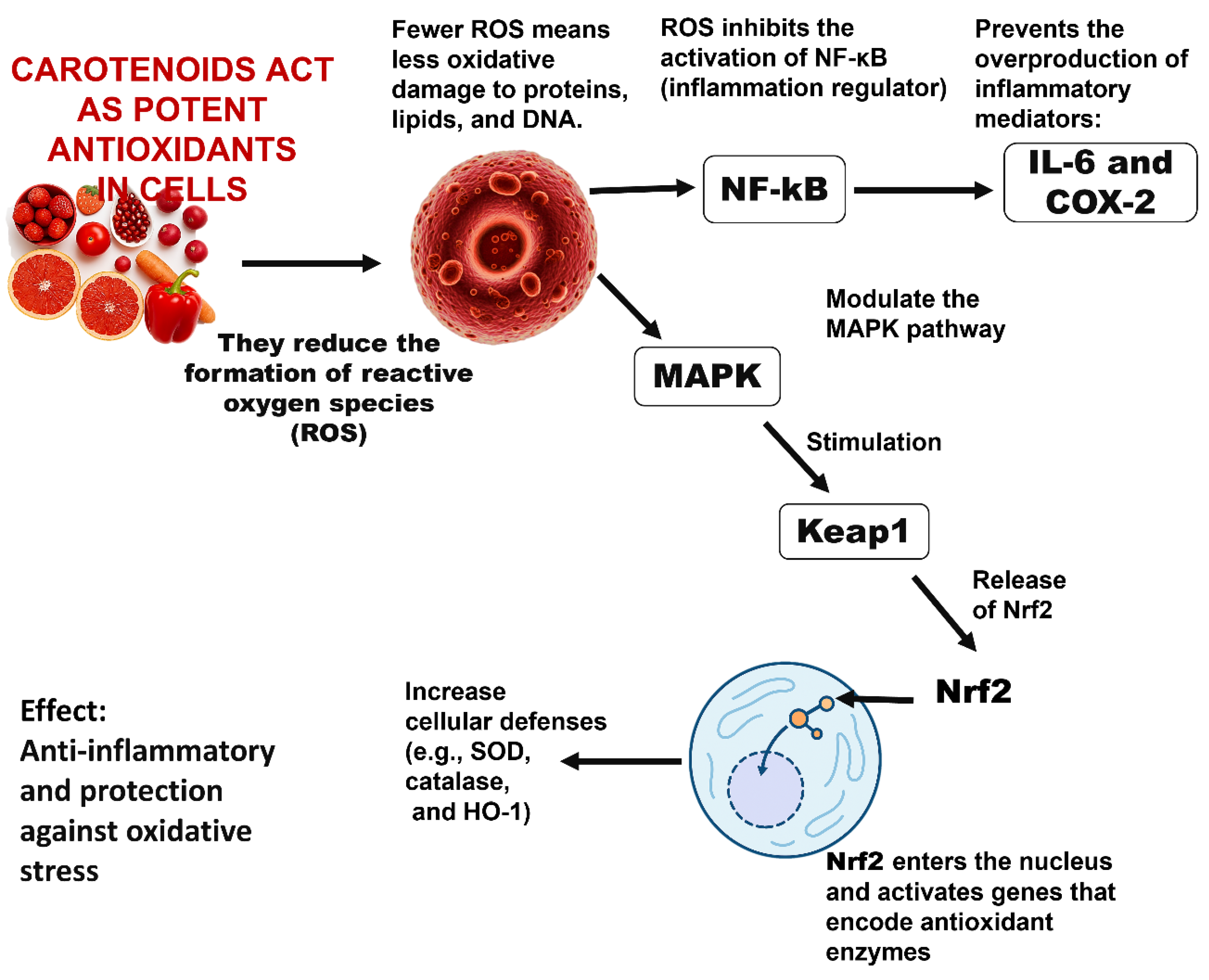 Recycling 11 00007 g008