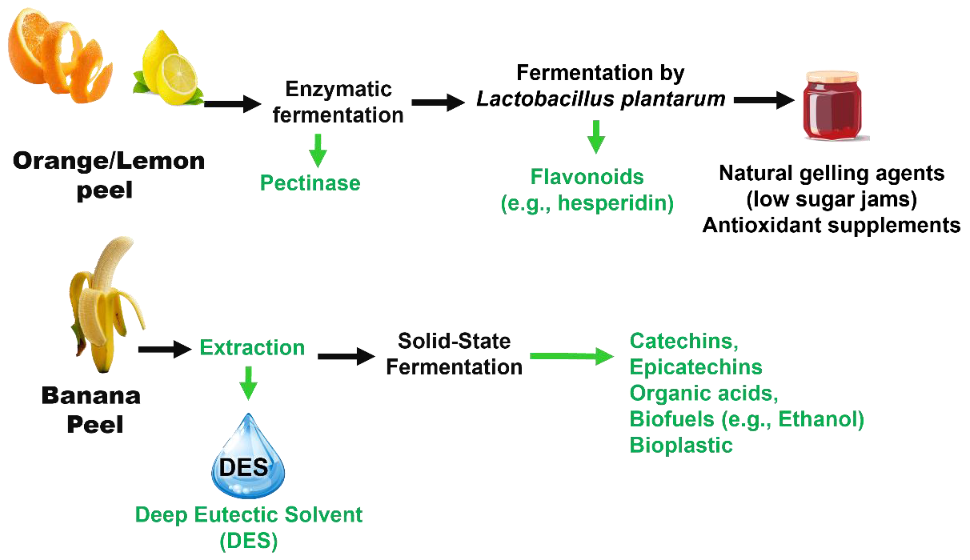 Recycling 11 00007 g014