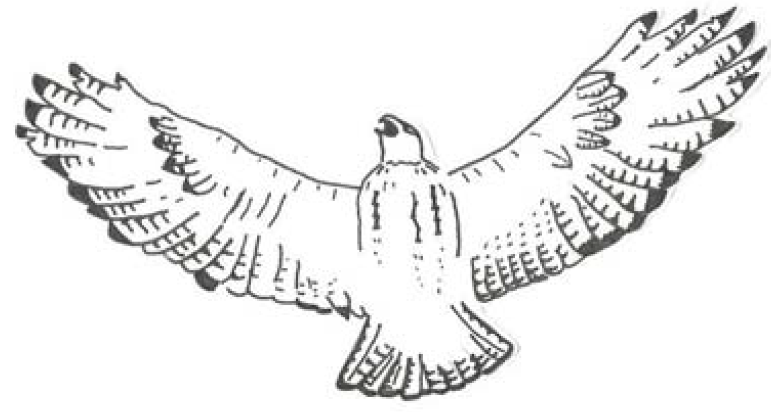 Religions 04 00358 g006 1024