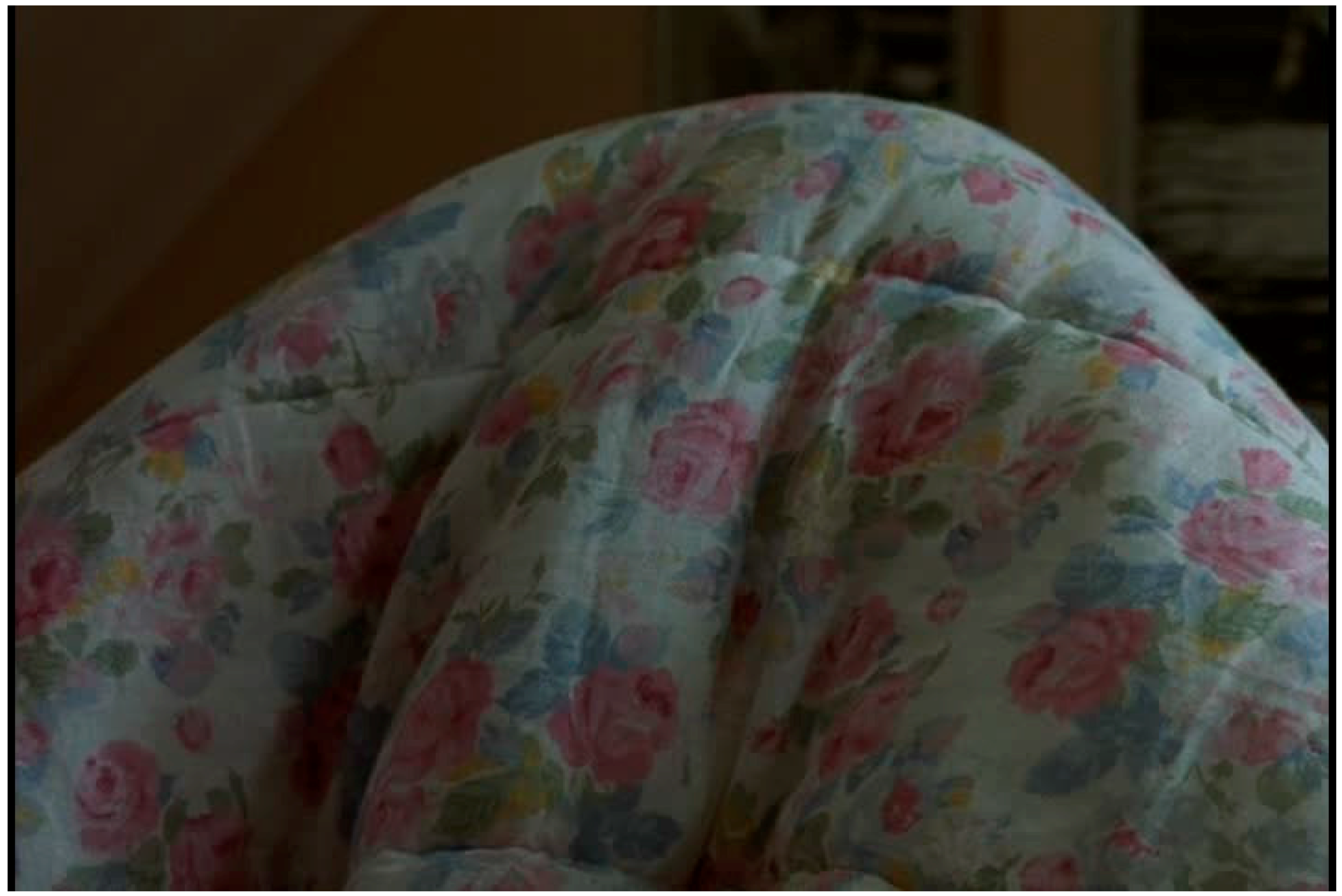 Religions 07 00147 g008 550