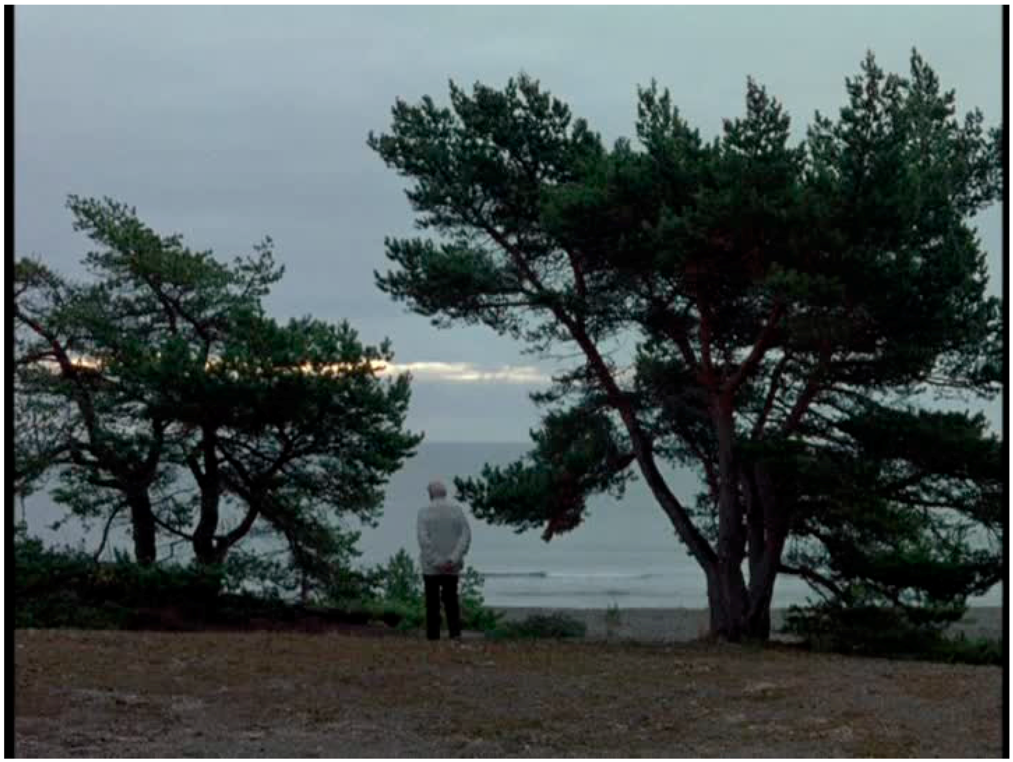 Religions 07 00147 g010 550