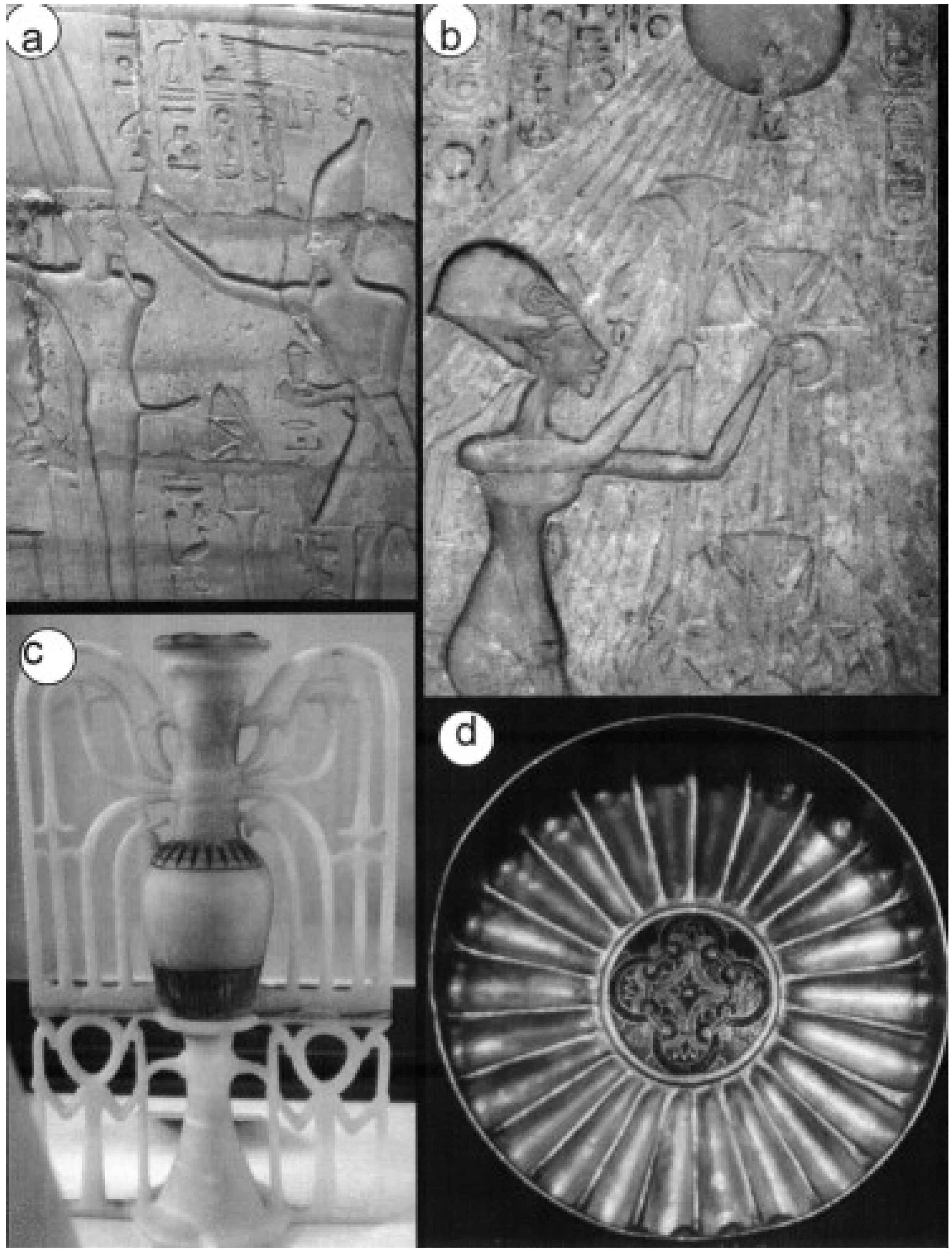 Religions | Free Full-Text | Influences of Egyptian Lotus 
