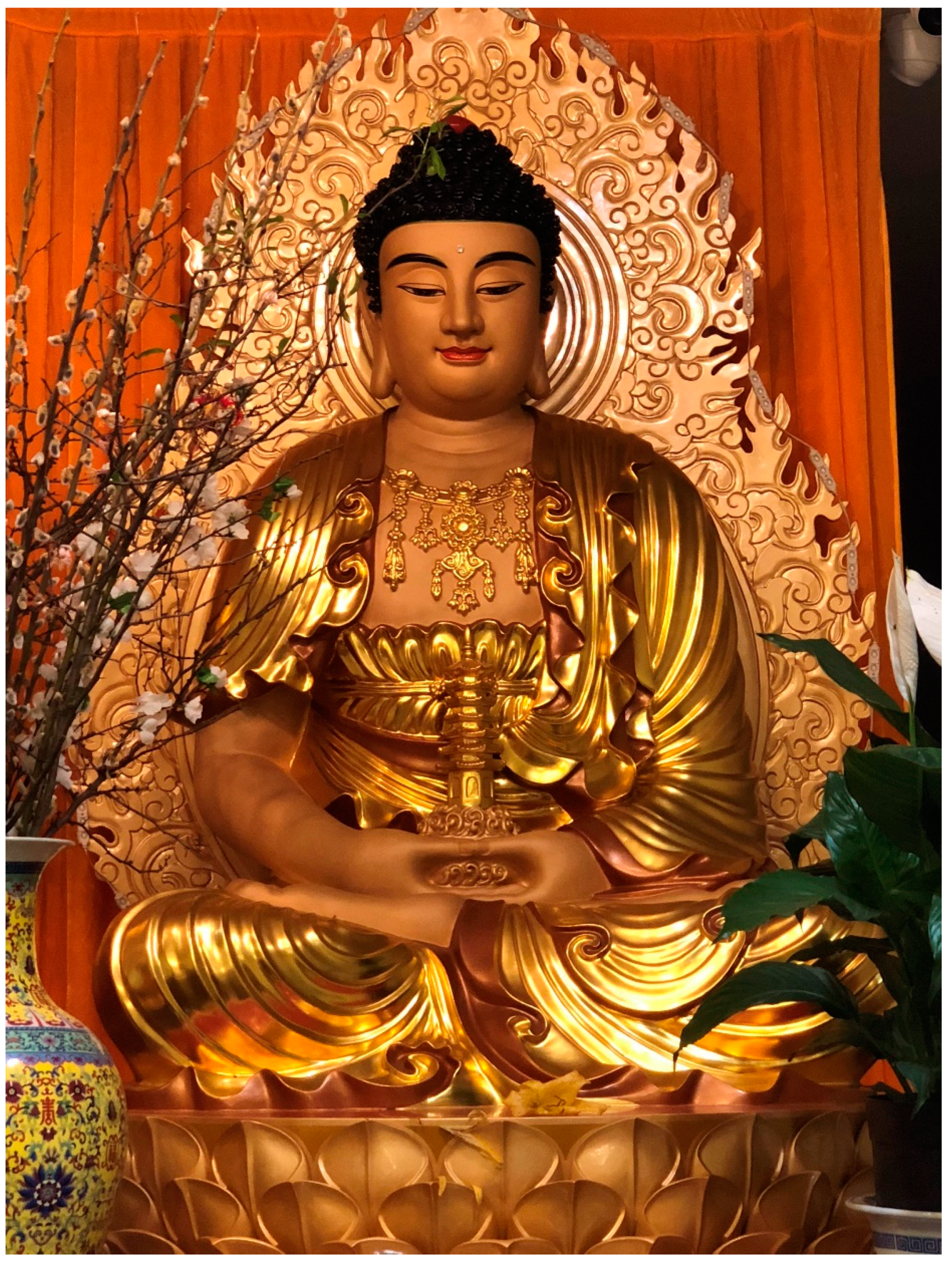 Religions 10 00048 g002 550