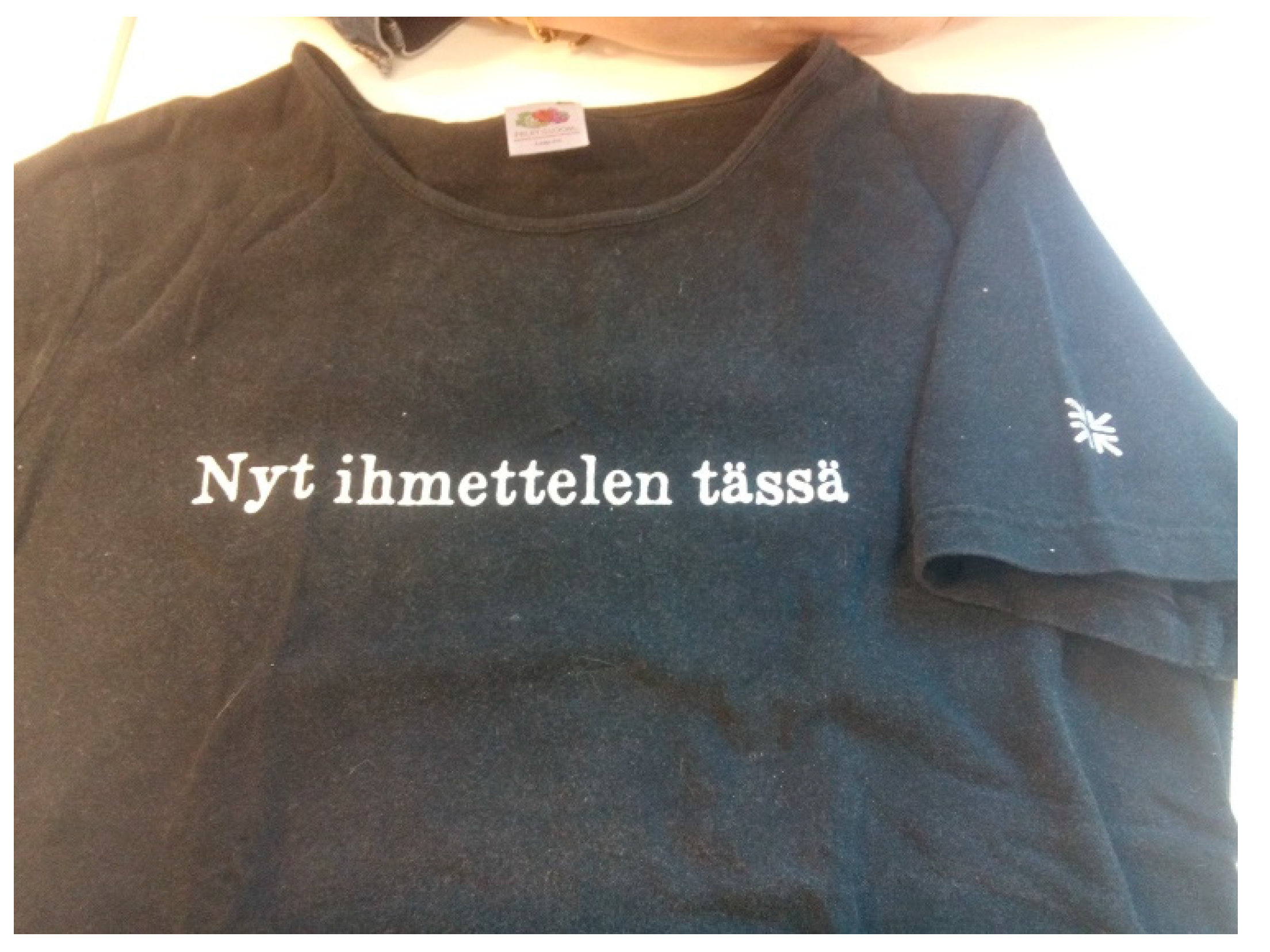 Religions 10 00351 g008