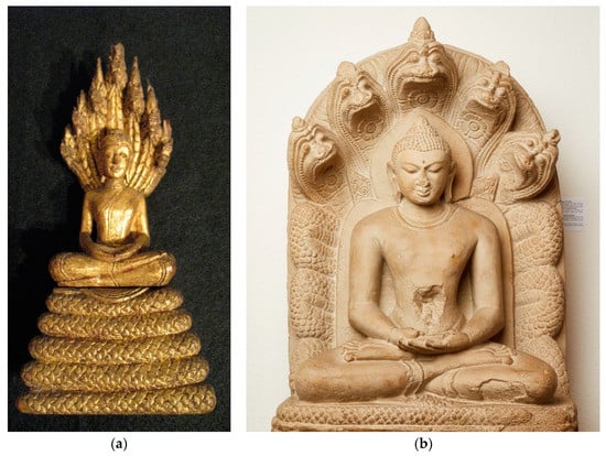 Religions | Free Full-Text | Cobra Deities and Divine Cobras: The Ambiguous  Animality of NÄgas