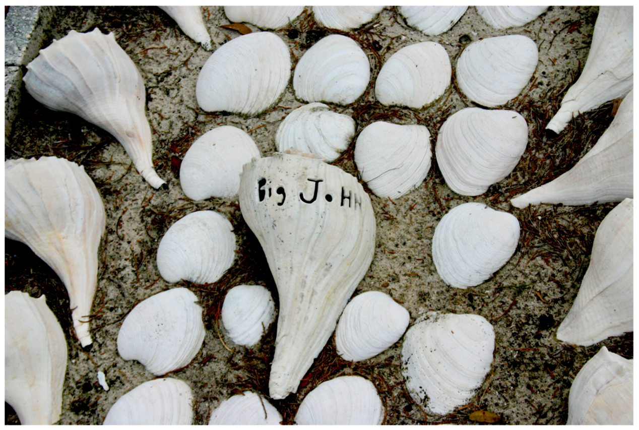 Religions Free Full Text Past As Prophecy Indigenous Diplomacies Beyond Liberal Settler Regimes Of Recognition As Told In Shell Html