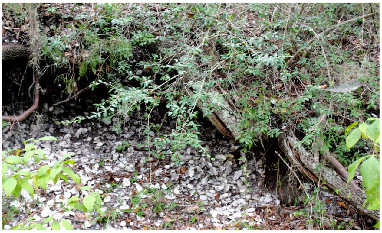 Religions 10 00510 g007 550