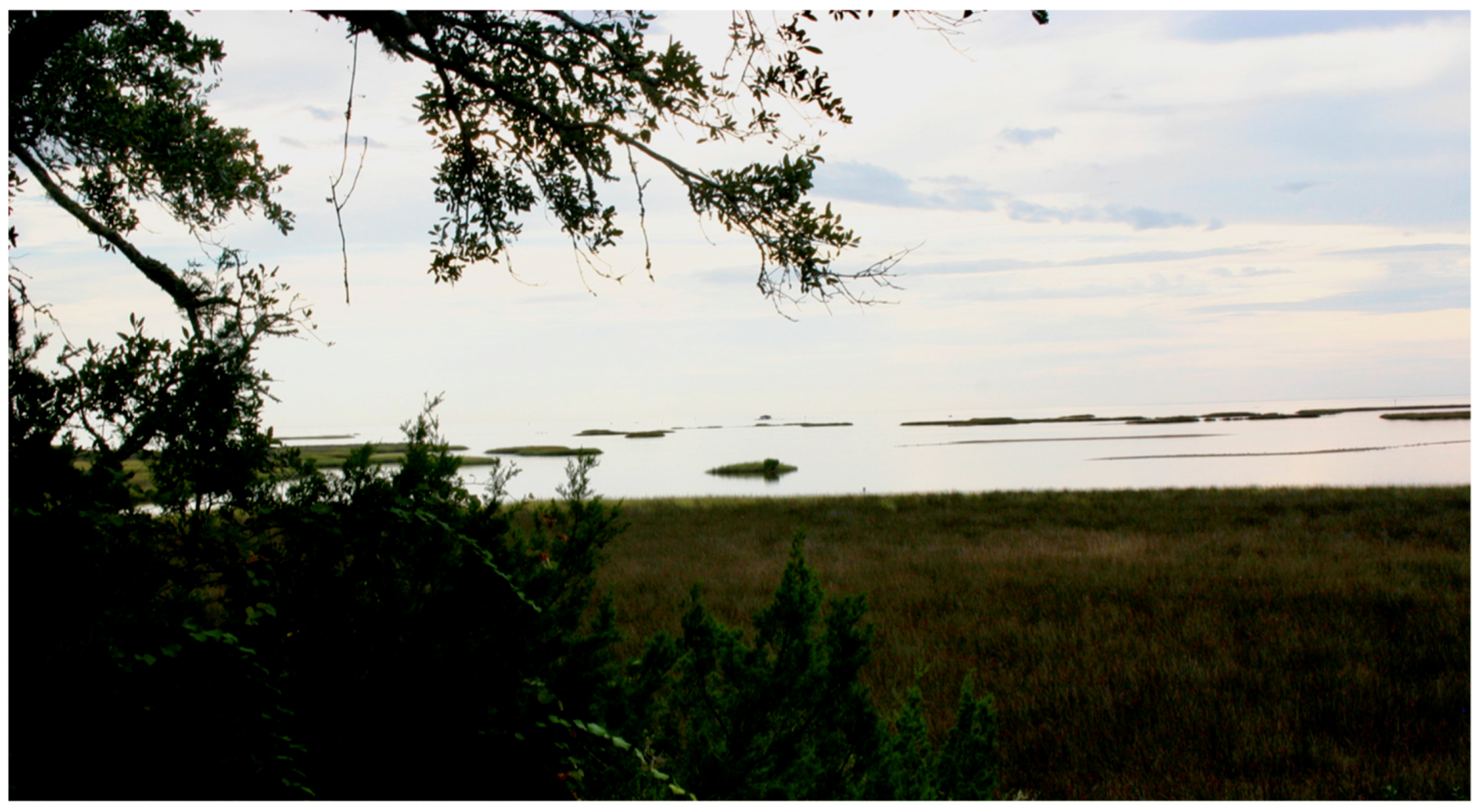 Religions 10 00510 g009 550