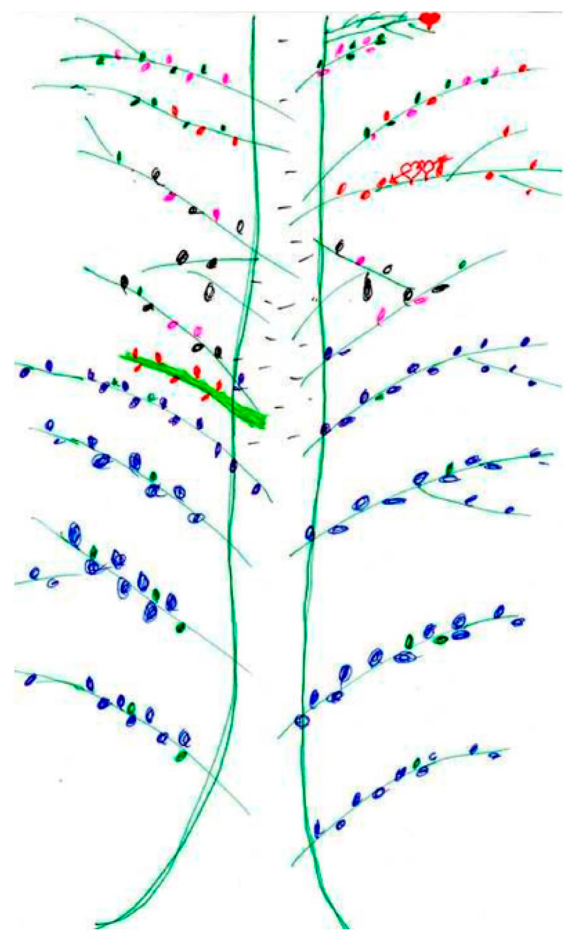 Religions 11 00016 g002 Religions 11 00016 g002