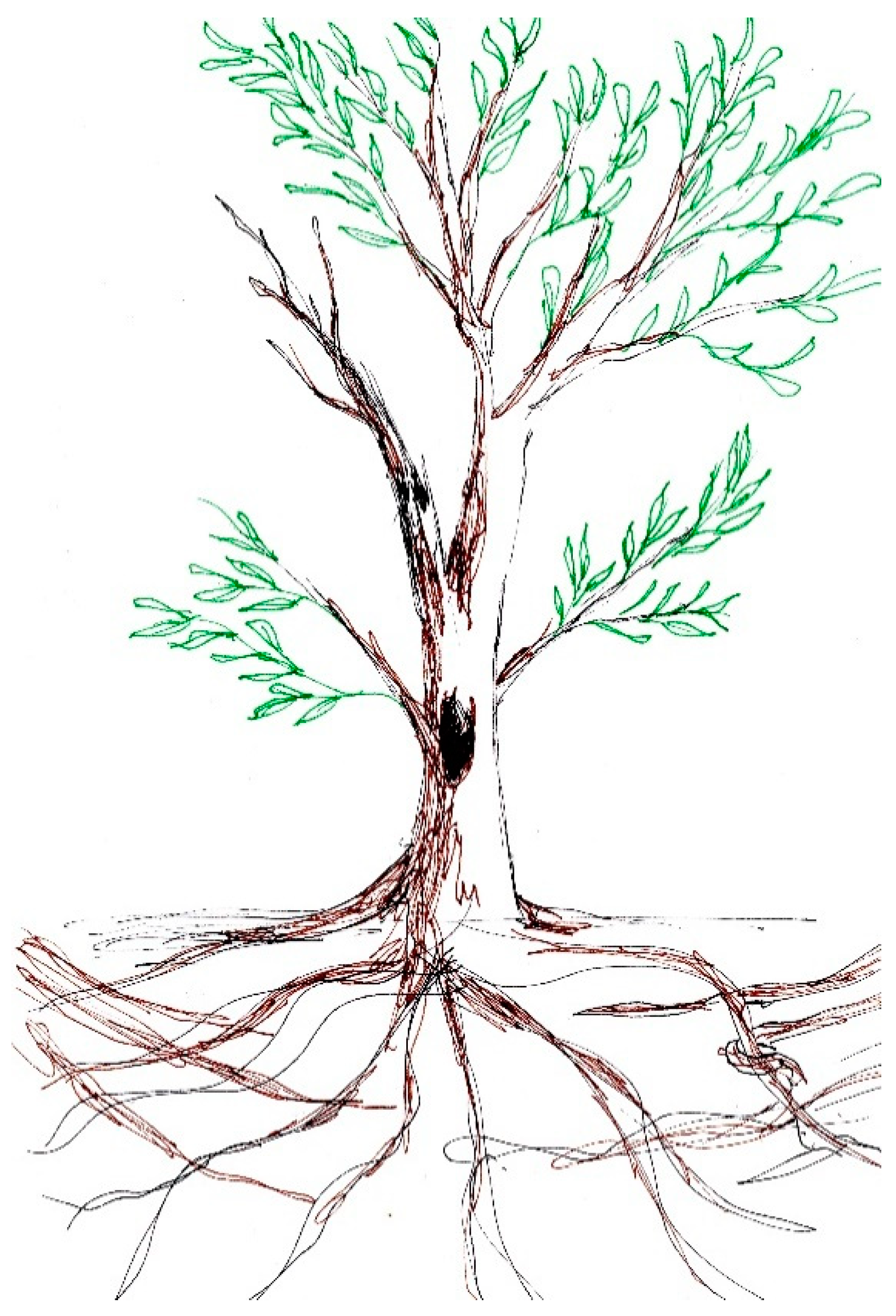 Religions 11 00016 g003 Religions 11 00016 g003