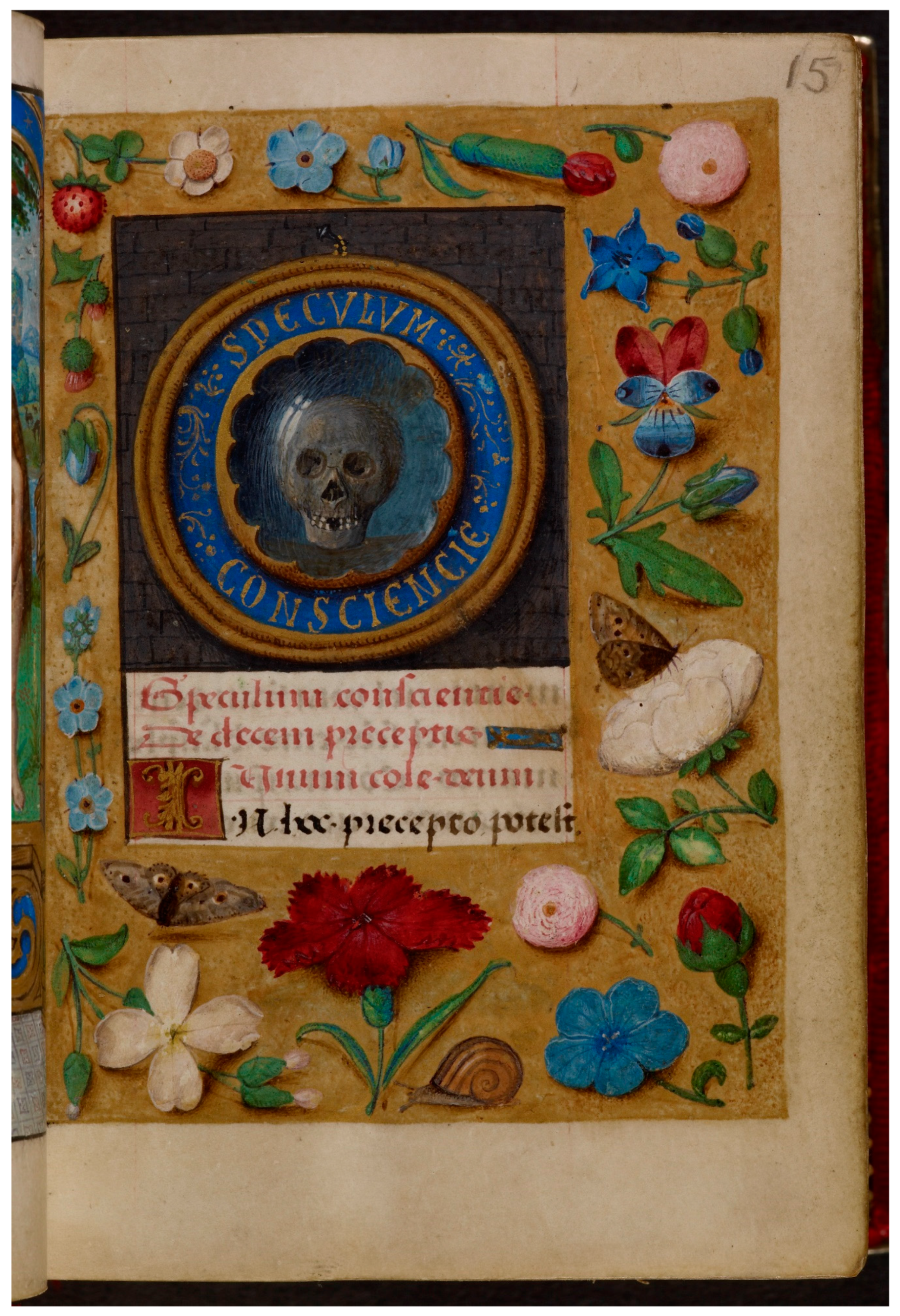 Religions 11 00201 g005 Religions 11 00201 g005