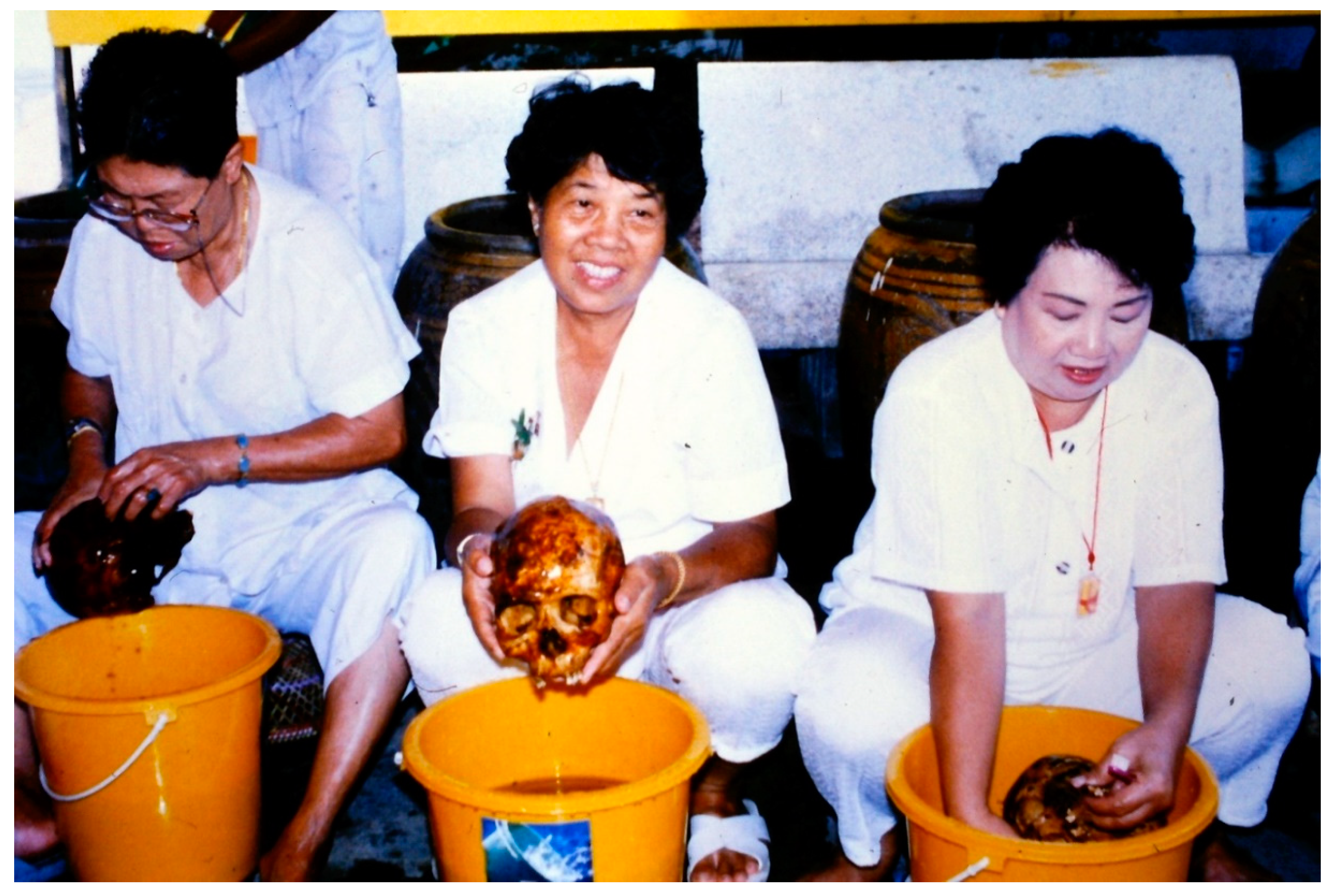 Religions 11 00245 g003 550