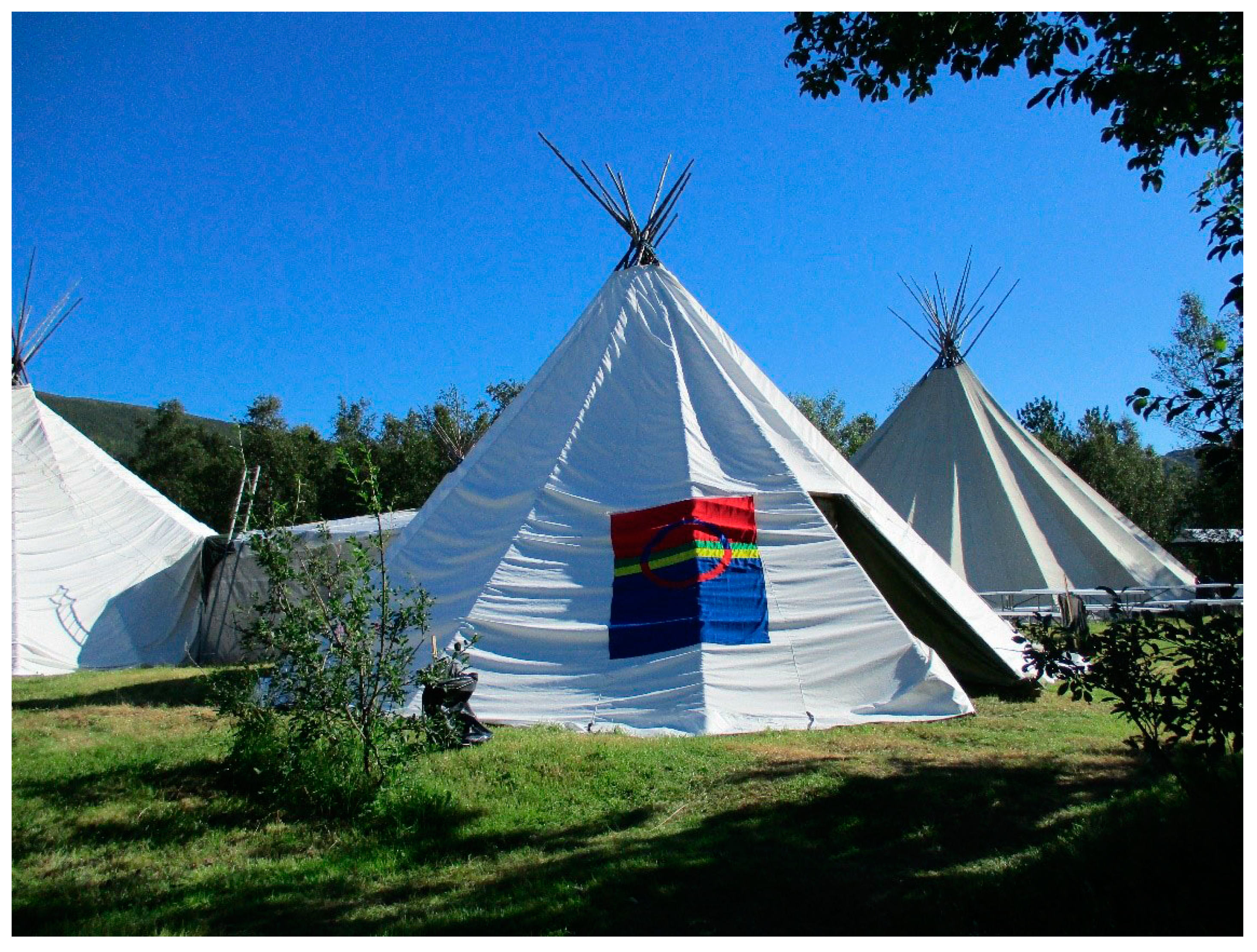 Religions 11 00270 g008