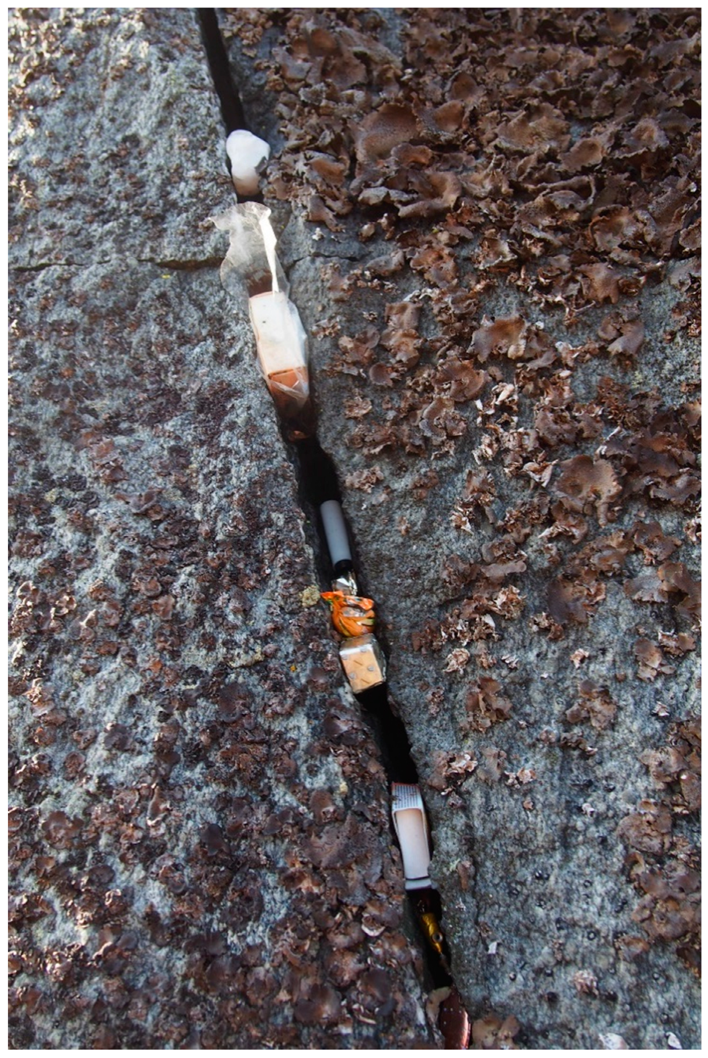 Religions 11 00317 g005