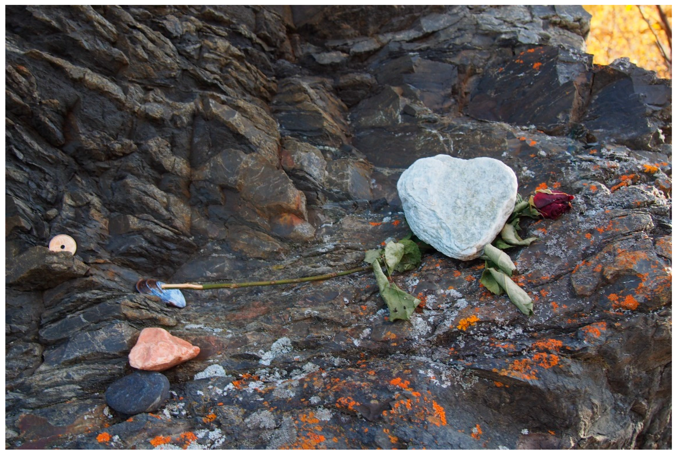 Religions 11 00317 g007