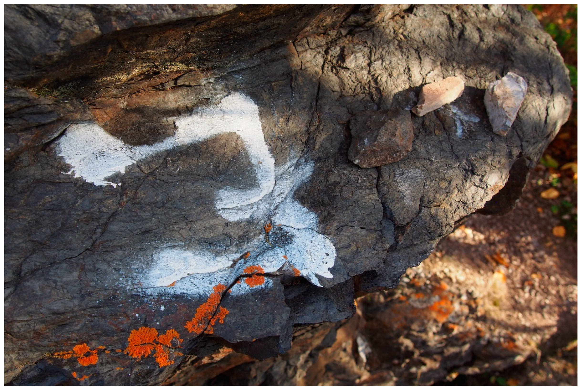 Religions 11 00317 g009