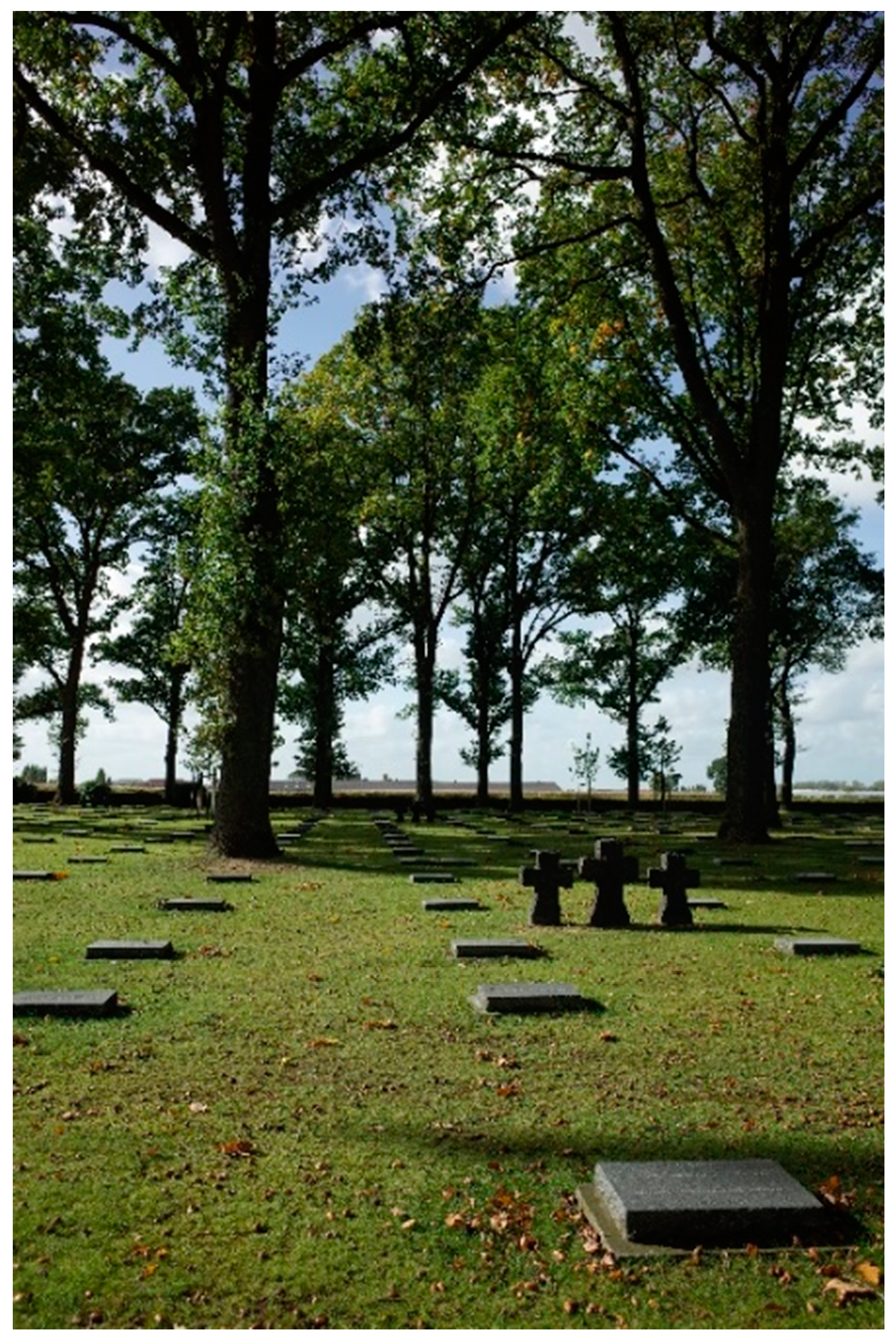 Religions 11 00407 g008 550