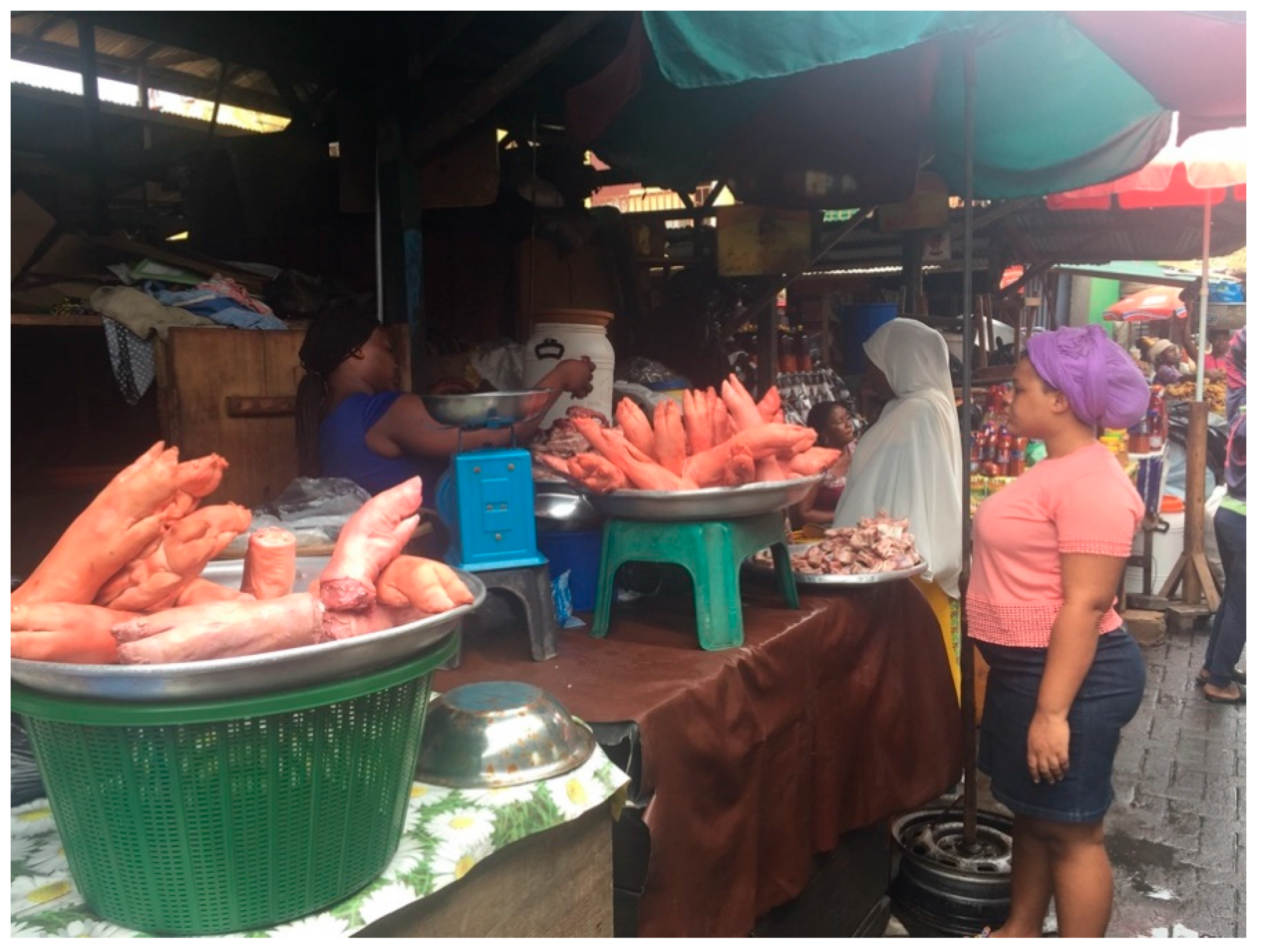 Religions 11 00421 g002