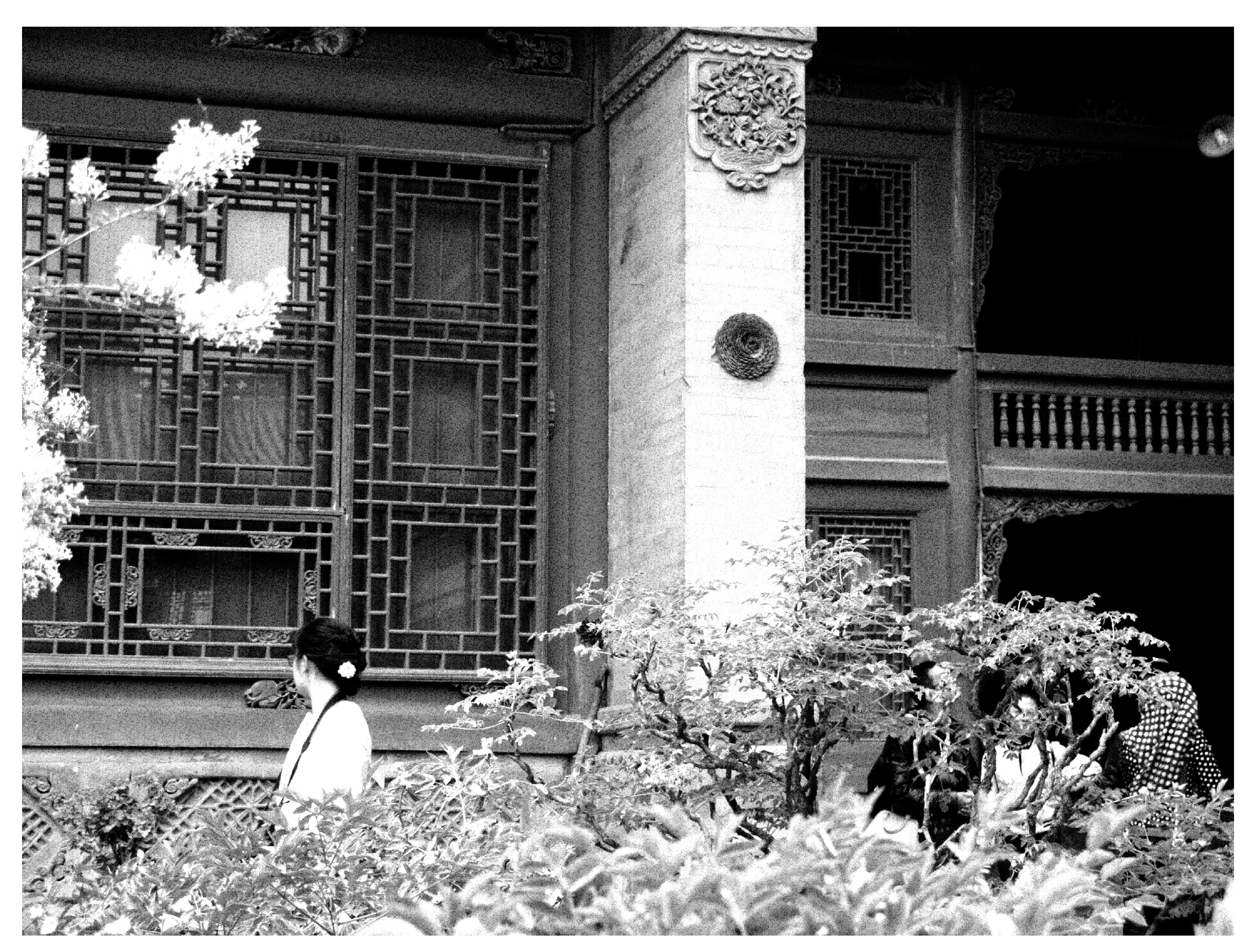 Religions 11 00444 g002