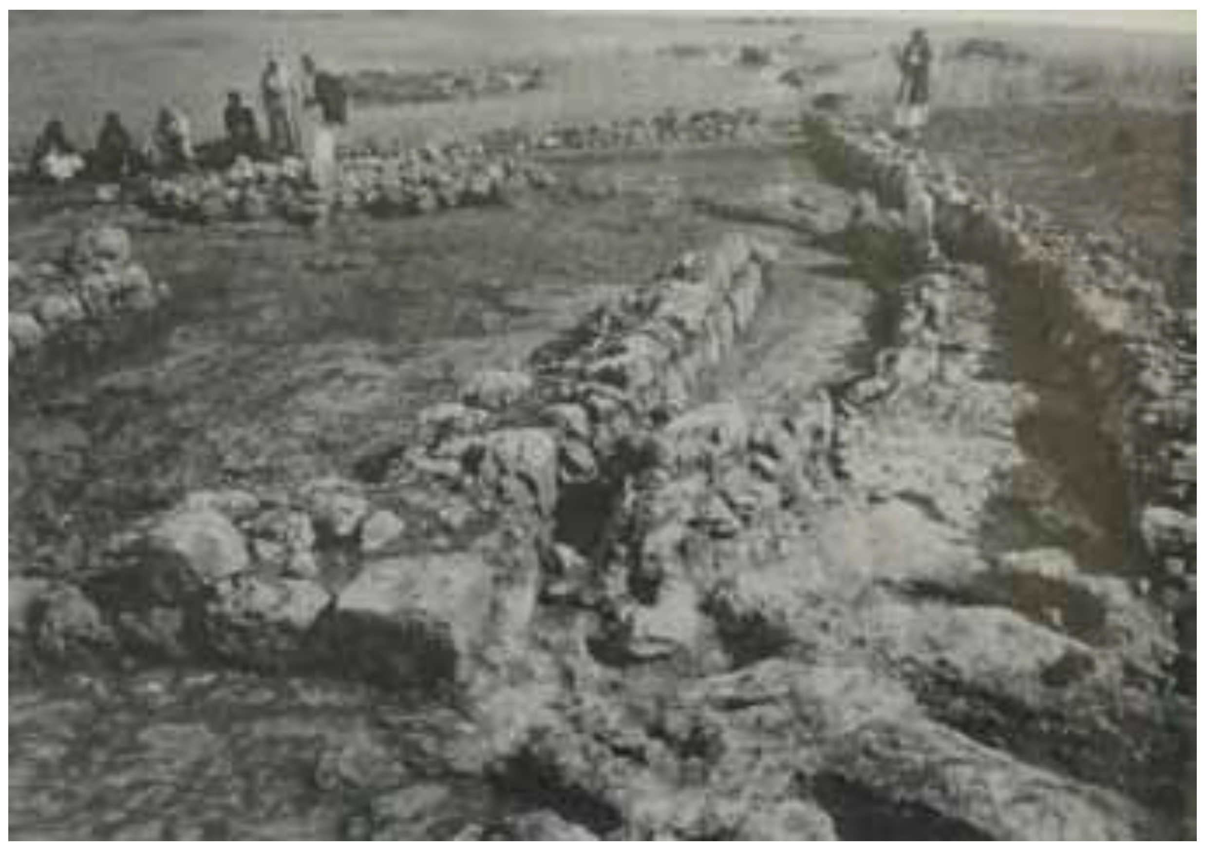 Religions 11 00493 g007