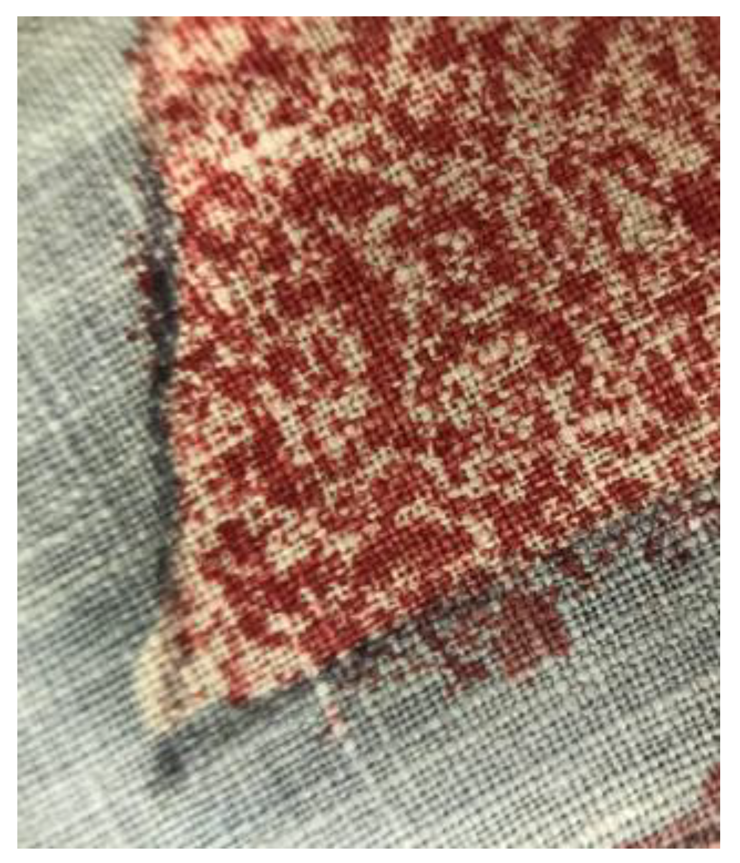 Religions 11 00627 g013