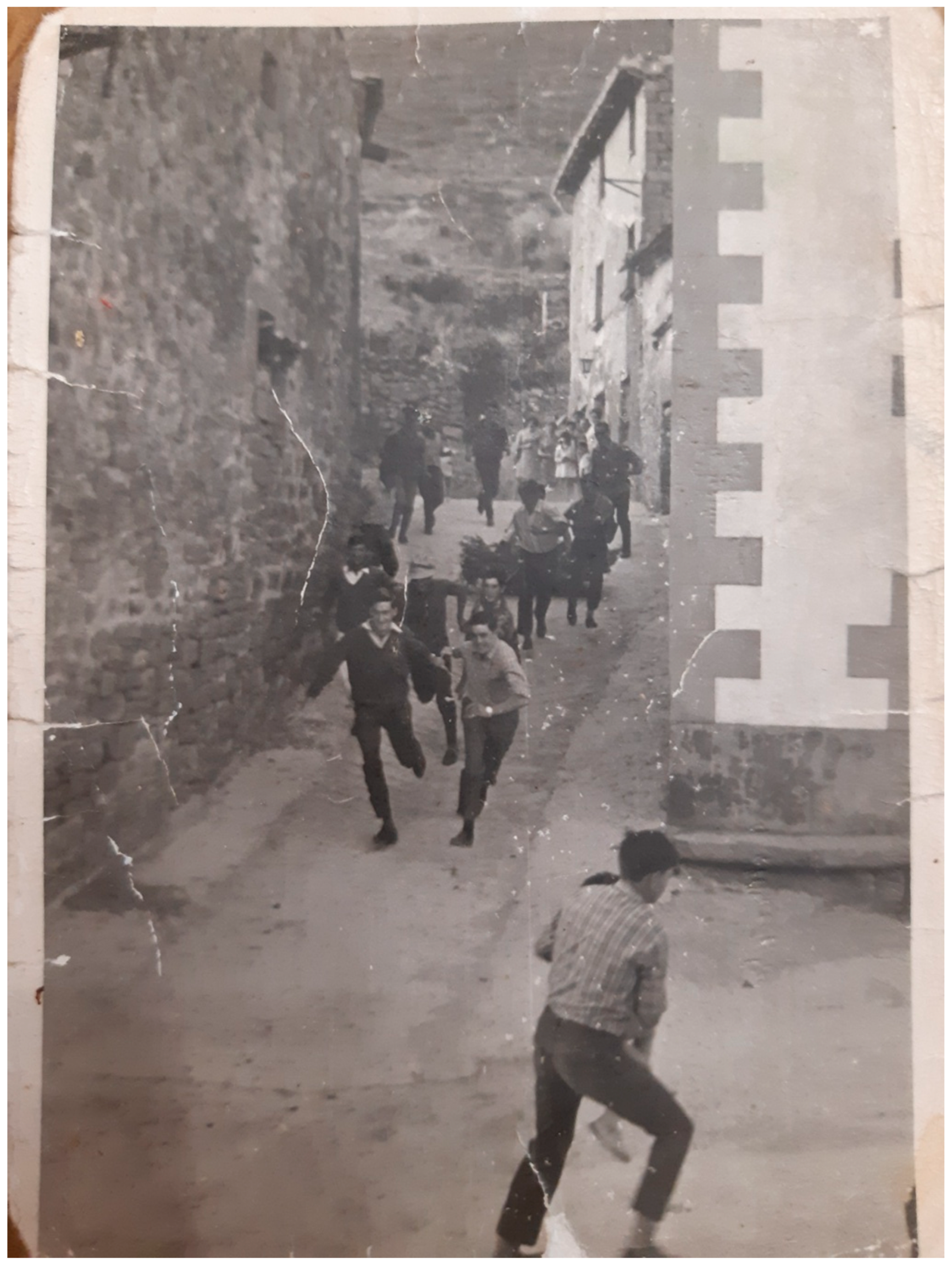 Religions 11 00658 g005