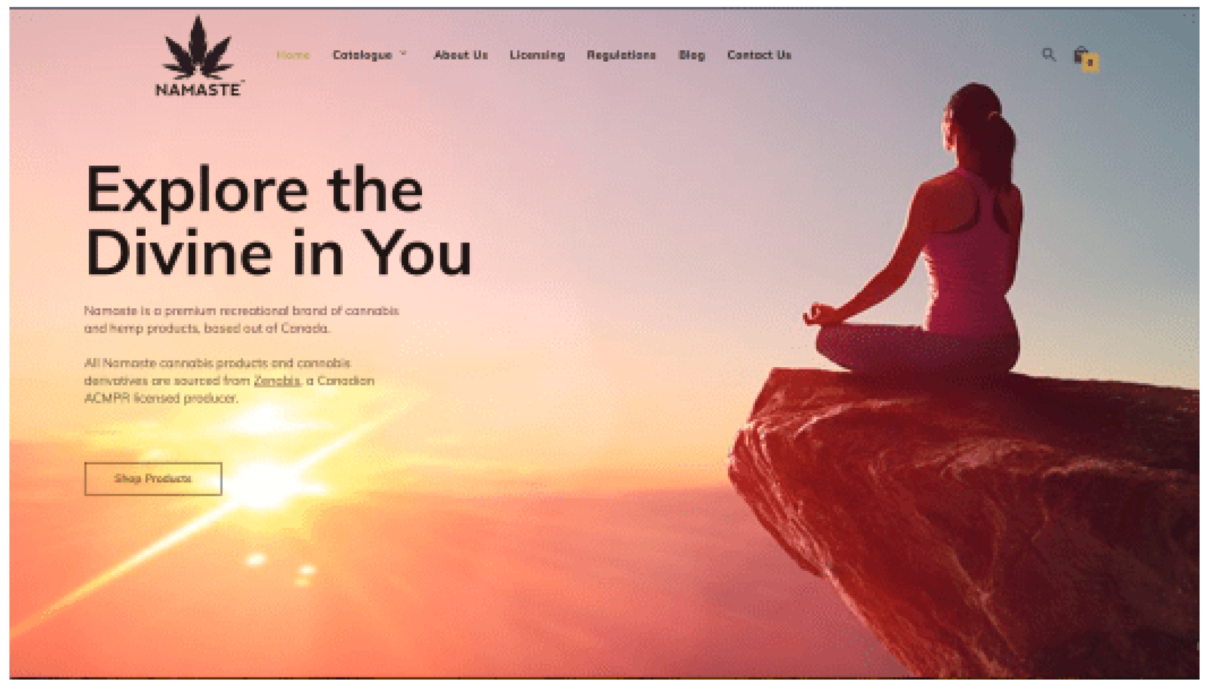 Religions 11 00669 g005